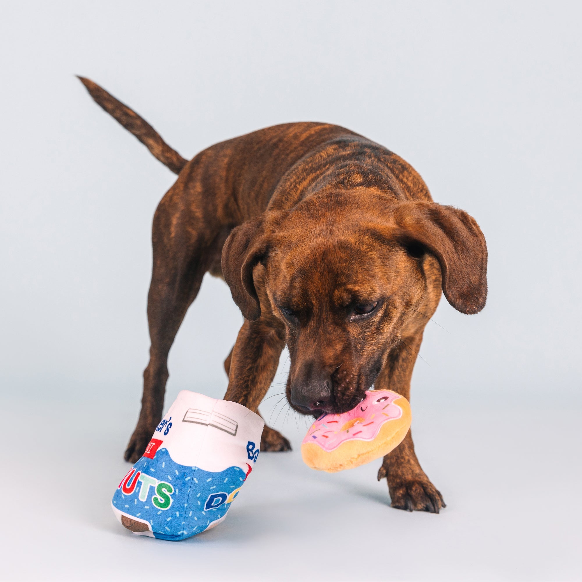 Eat More Hole Foods Burrow Plush Dog Toy