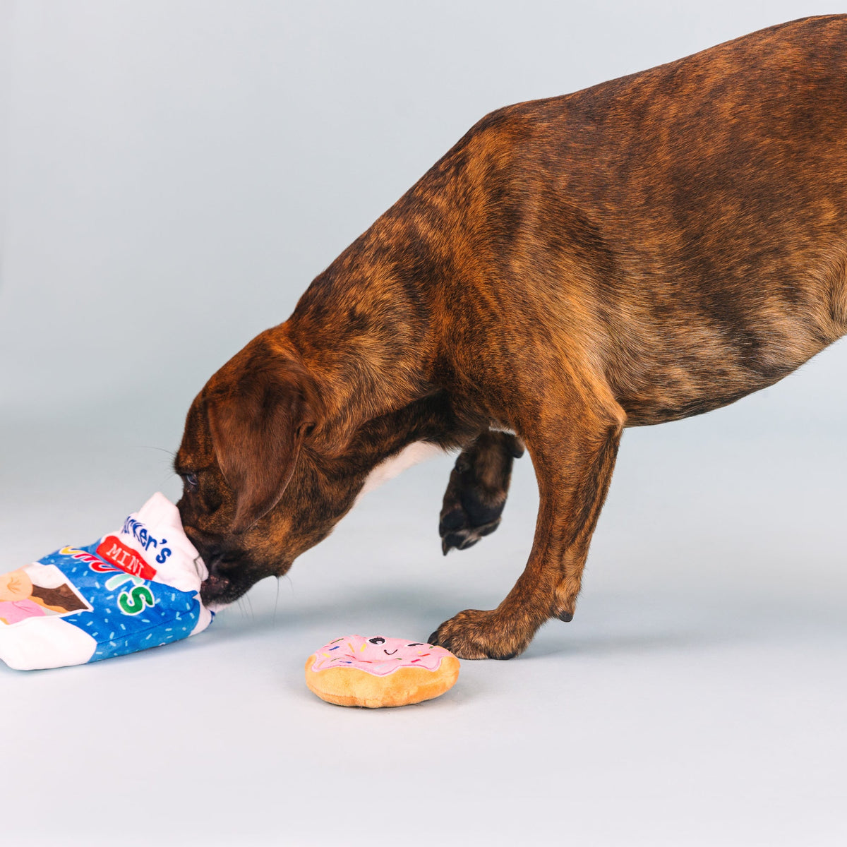 Eat More Hole Foods Burrow Plush Dog Toy