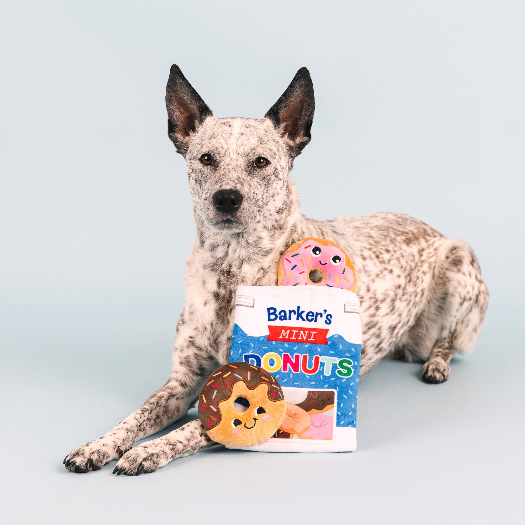 Eat More Hole Foods Burrow Plush Dog Toy