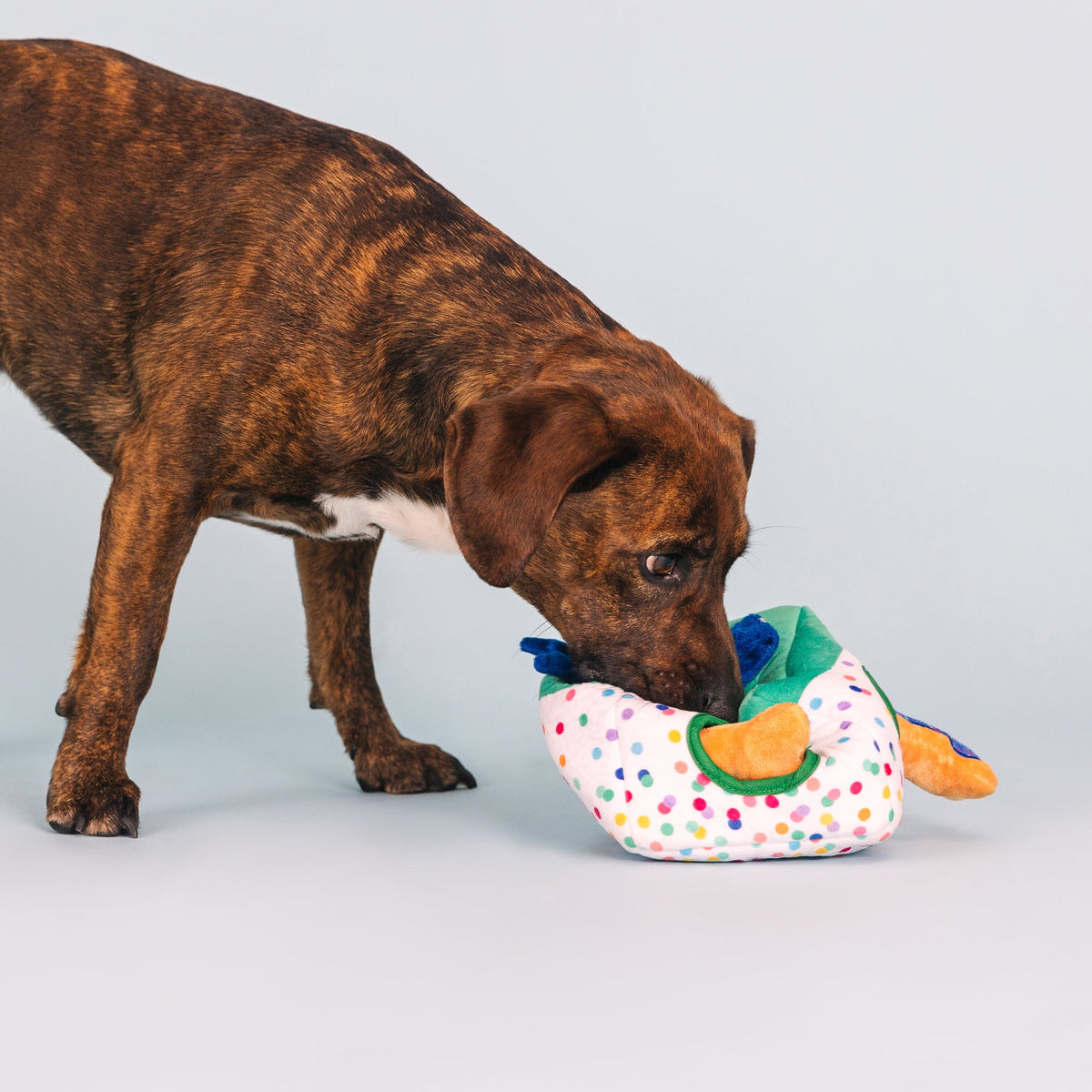 All About The Gifts Interactive Dog Toy