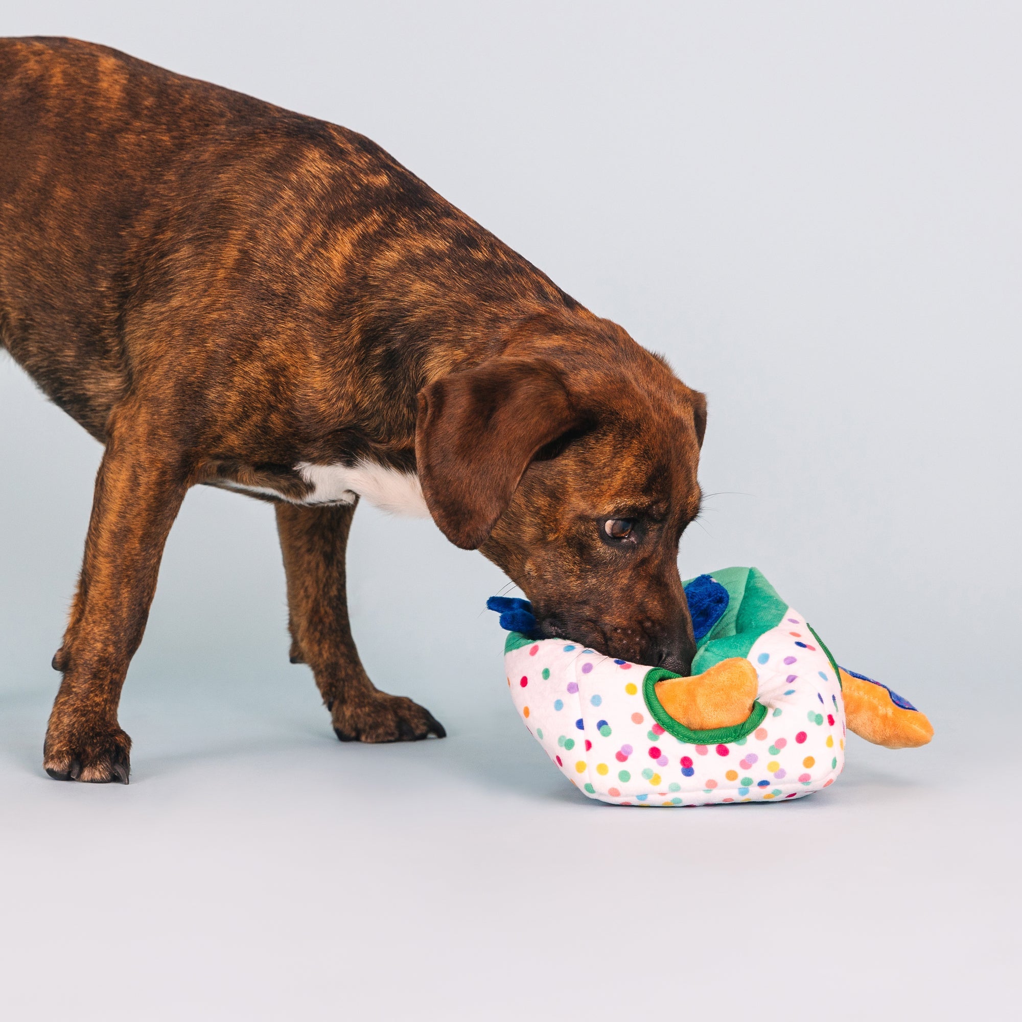 All About The Gifts Burrow Plush Dog Toy
