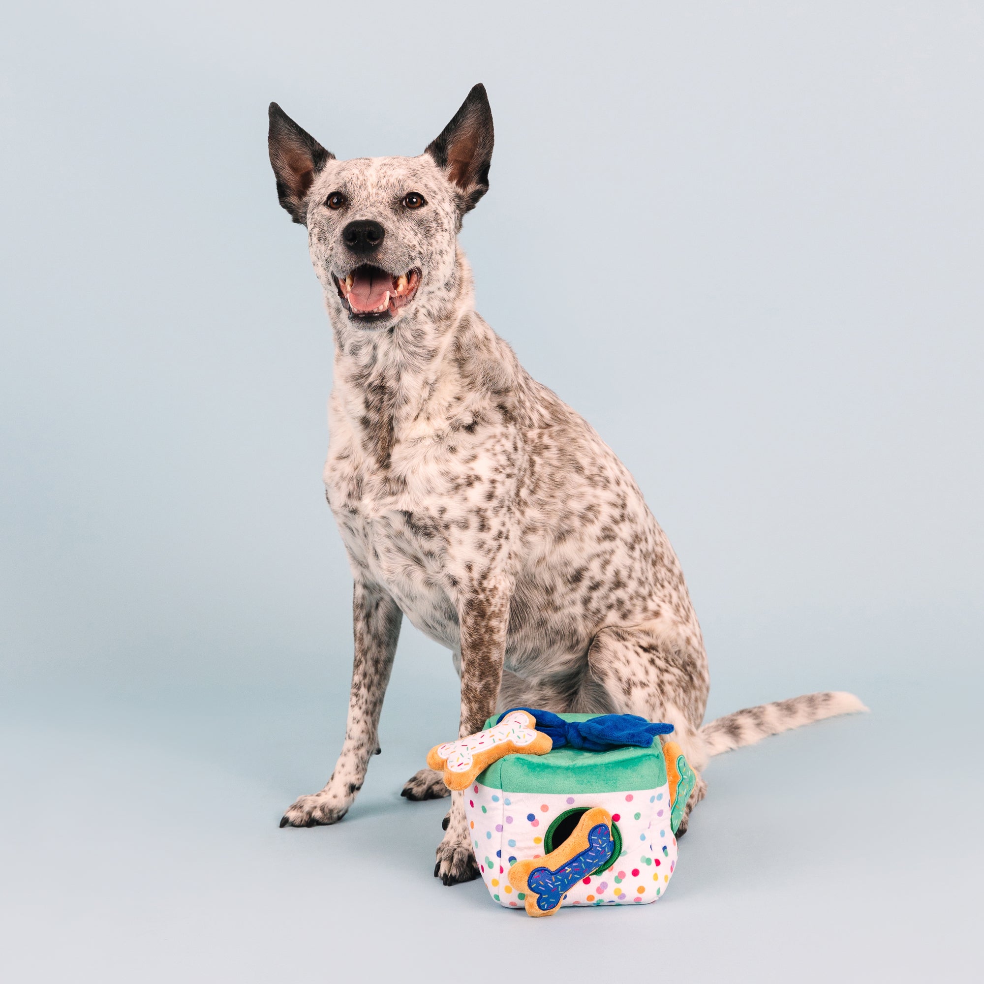All About The Gifts Burrow Plush Dog Toy