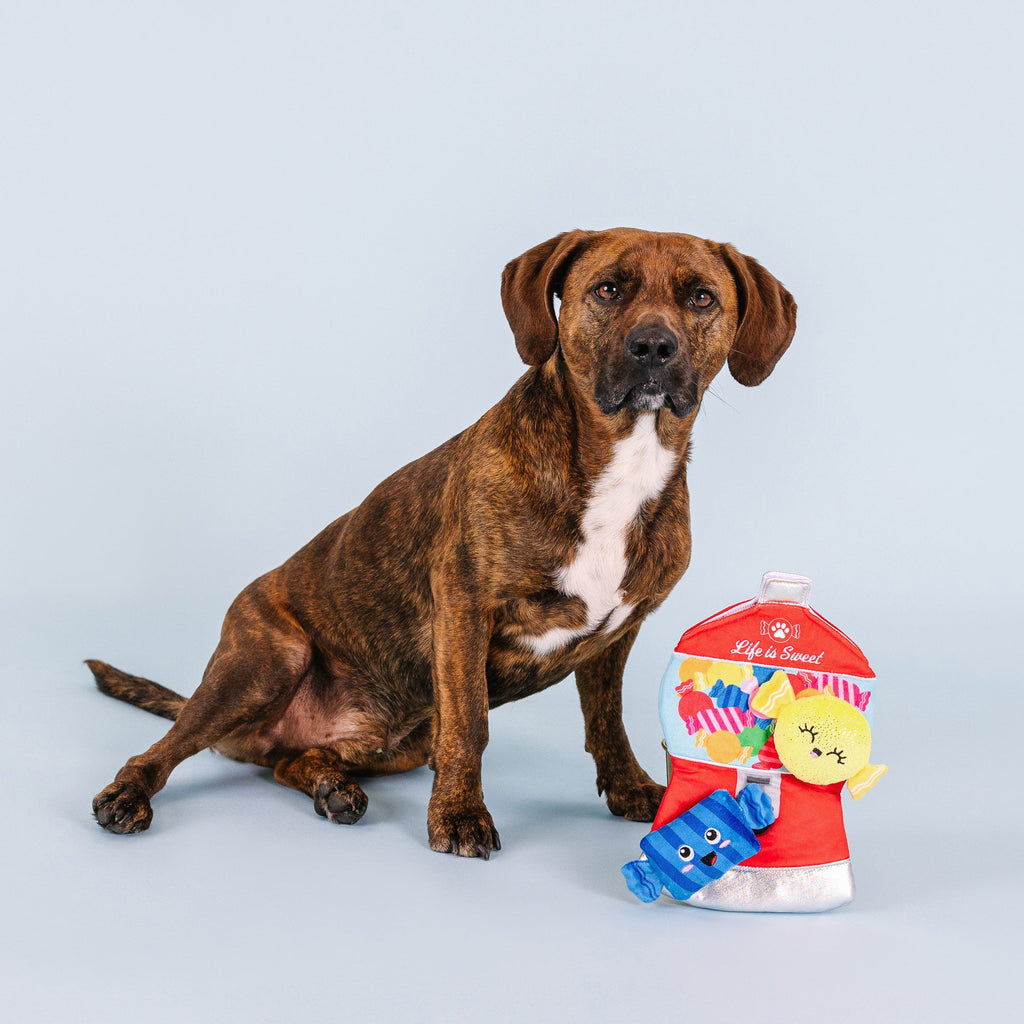 A Sweet Surprise Interactive Toys