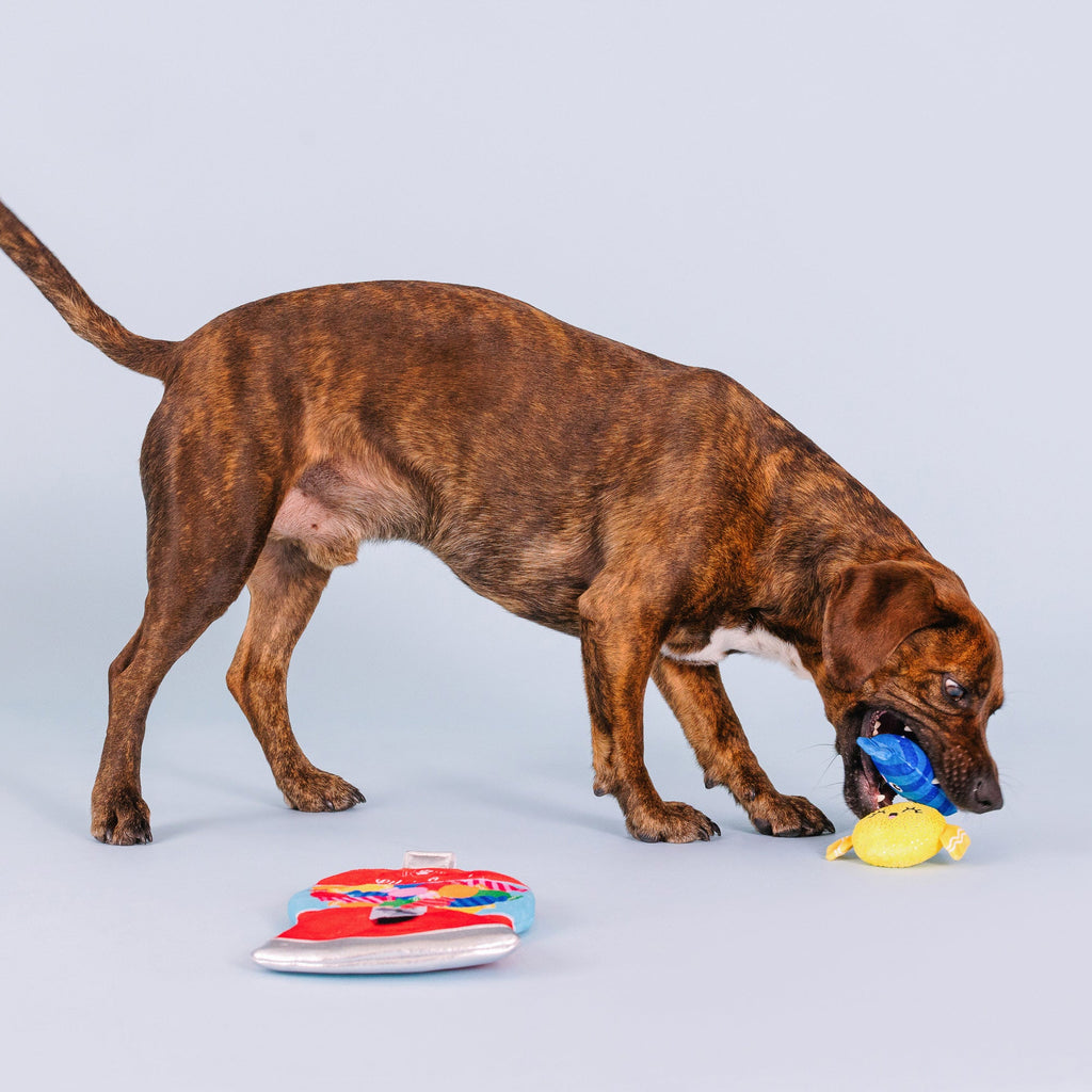 A Sweet Surprise Interactive Toys