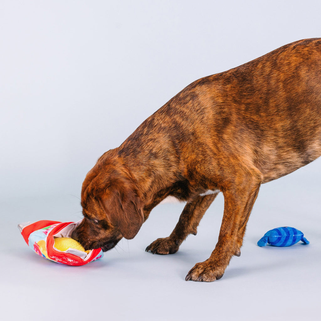 A Sweet Surprise Interactive Toys