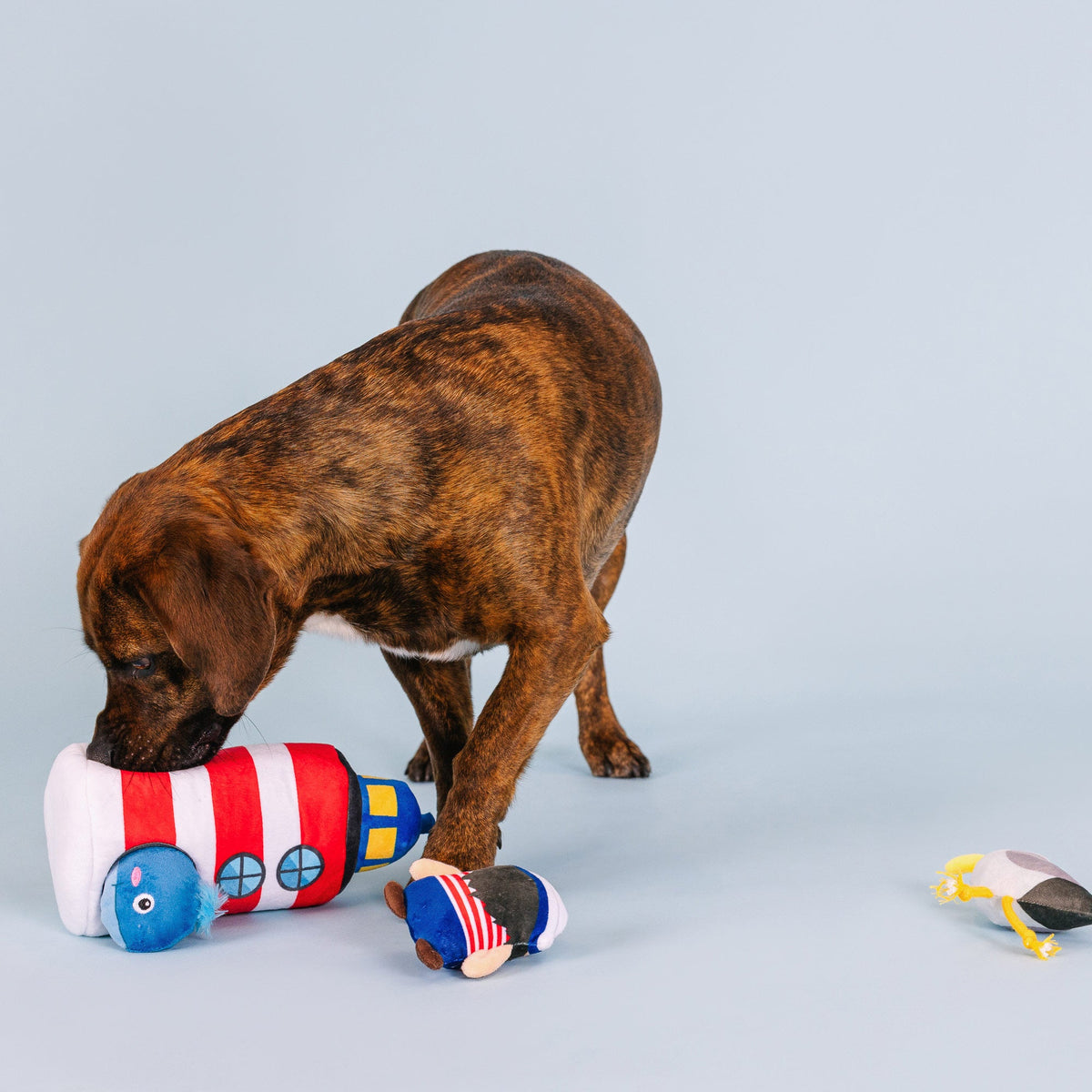 Ships Ahoy Burrow Plush Dog Toy