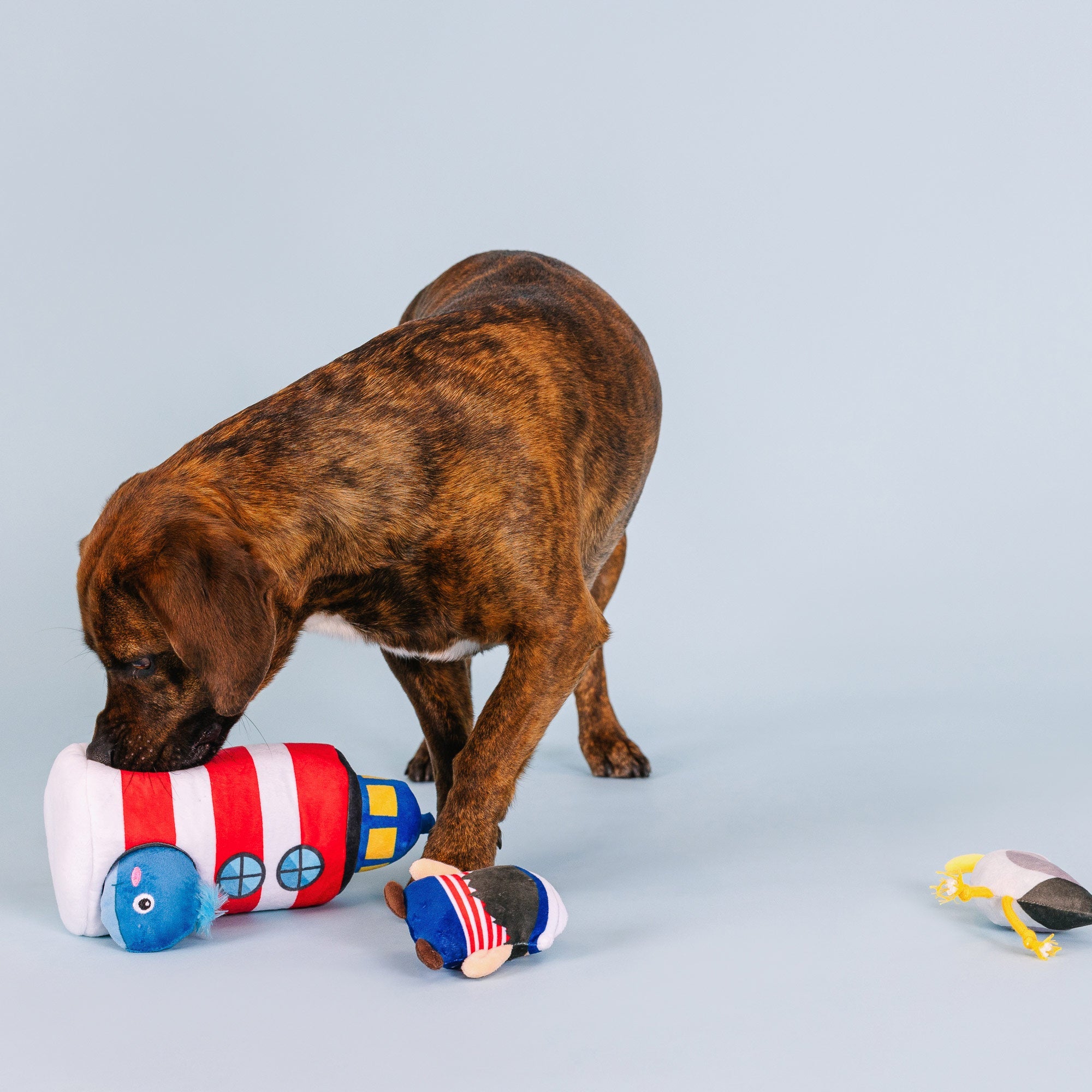 Ships Ahoy Burrow Plush Dog Toy