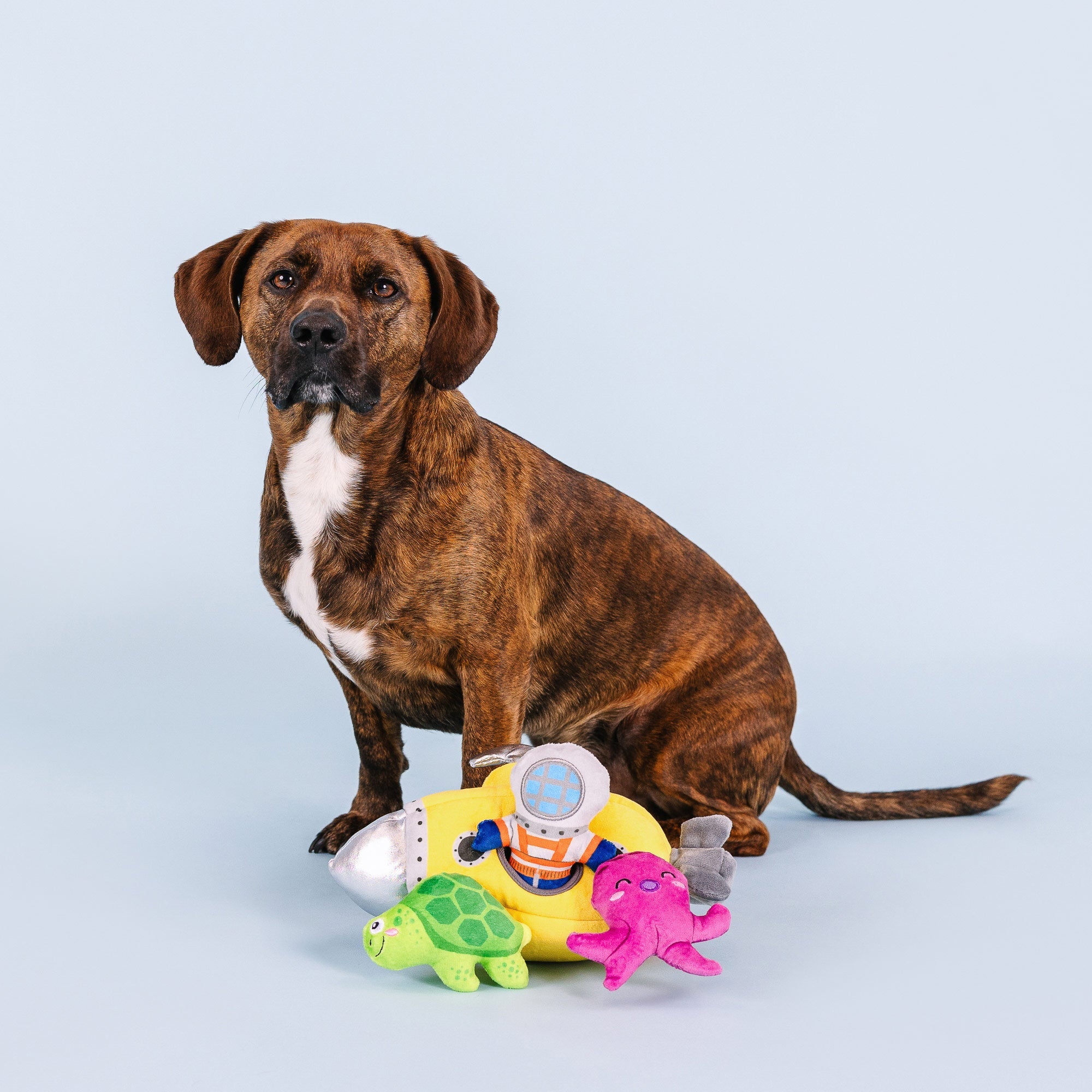 Into The Deep Burrow Plush Dog Toy