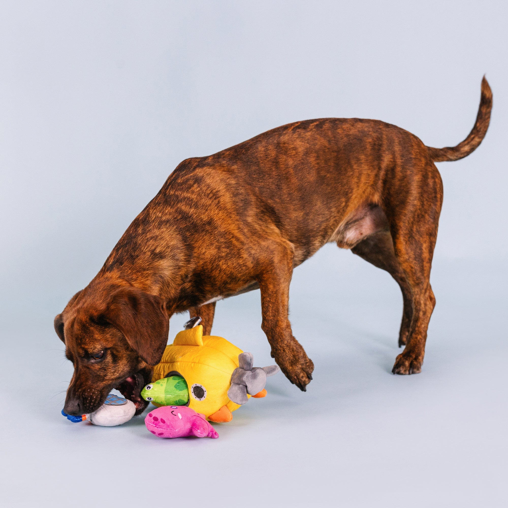 Into The Deep Burrow Plush Dog Toy