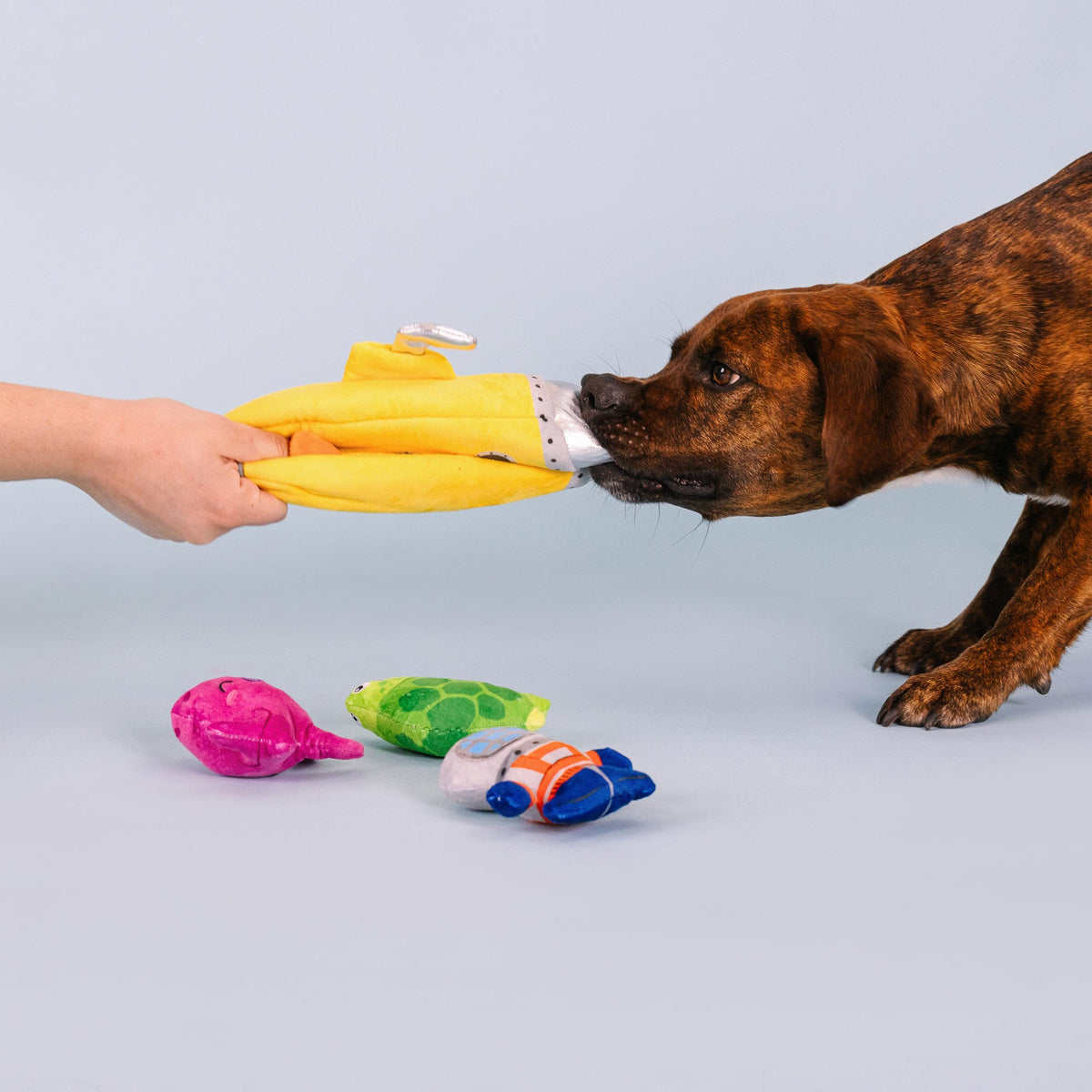 Into The Deep Burrow Plush Dog Toy