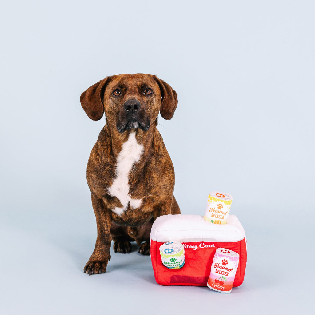 Stay Cool Interactive Dog Toys