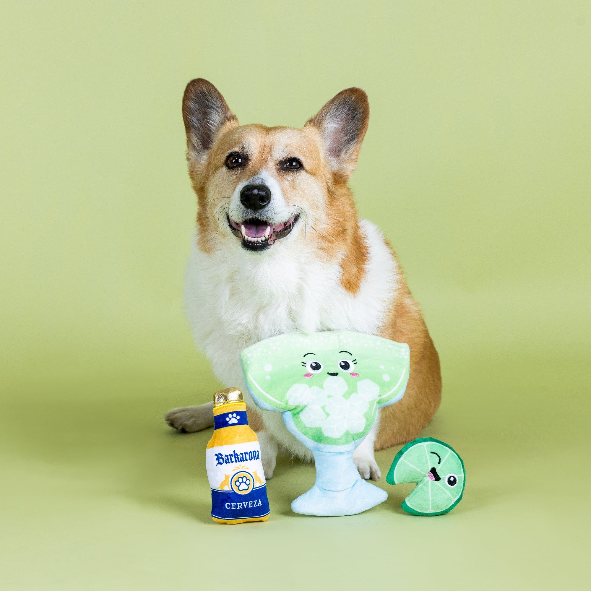 Drop Me A Lime Burrow Plush Dog Toy