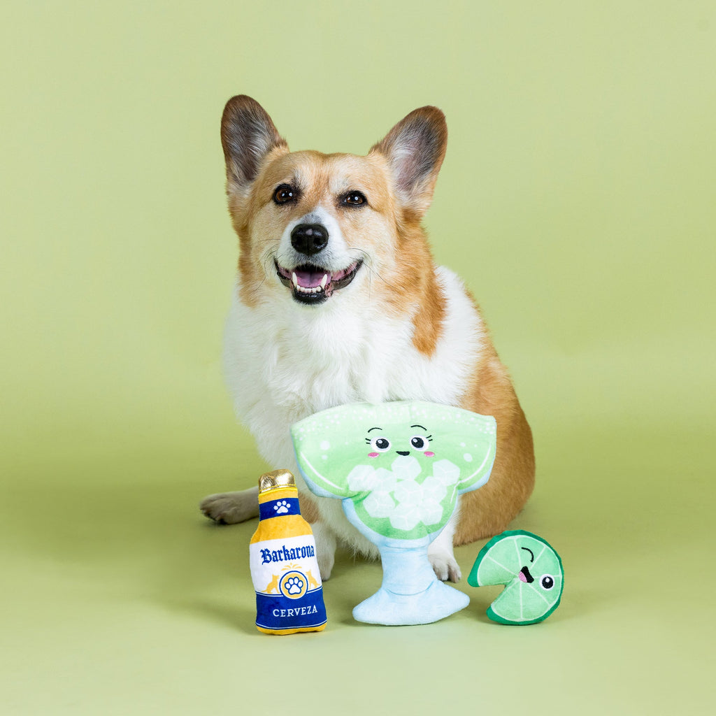 Drop Me A Lime Plush Dog Toy