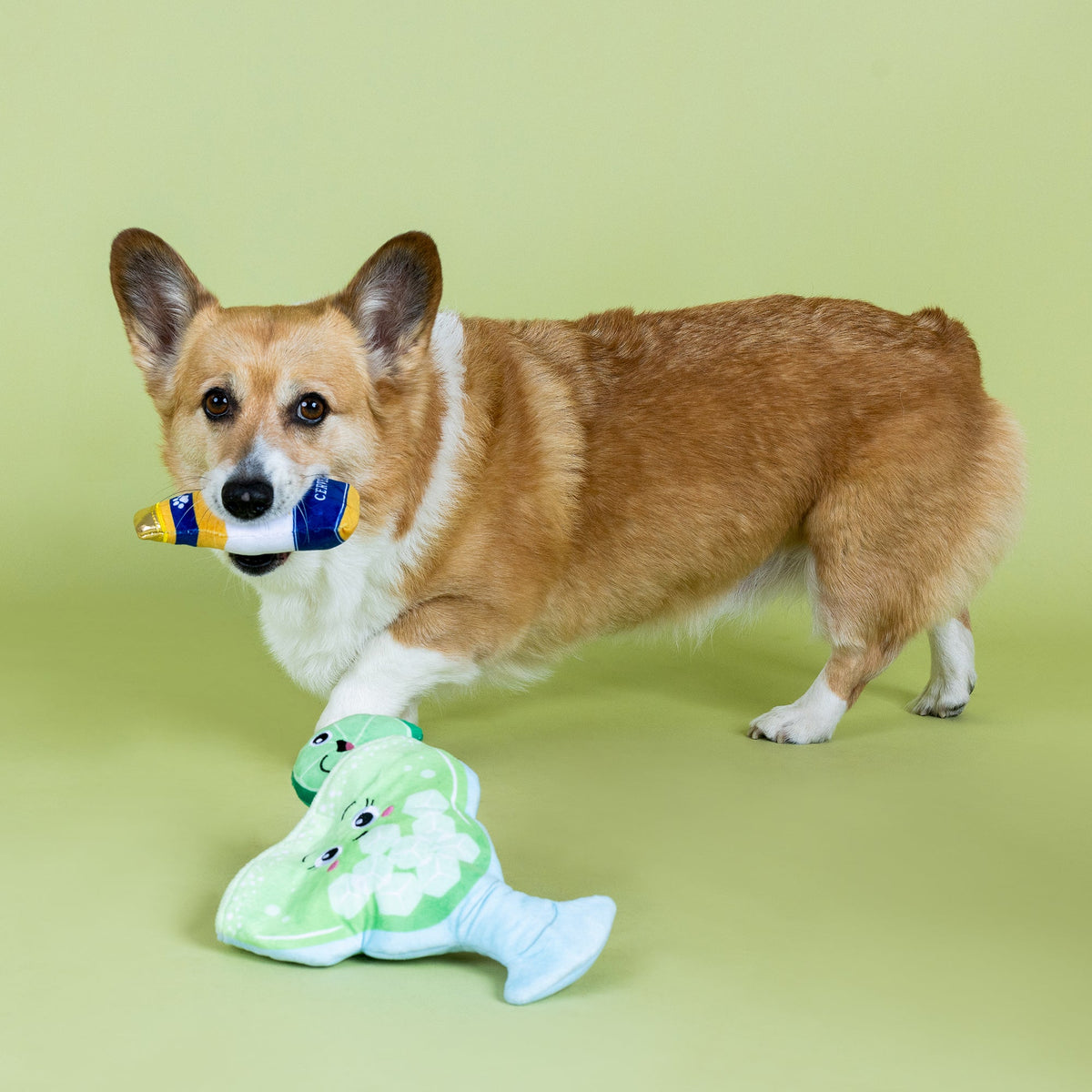 Drop Me A Lime Burrow Plush Dog Toy