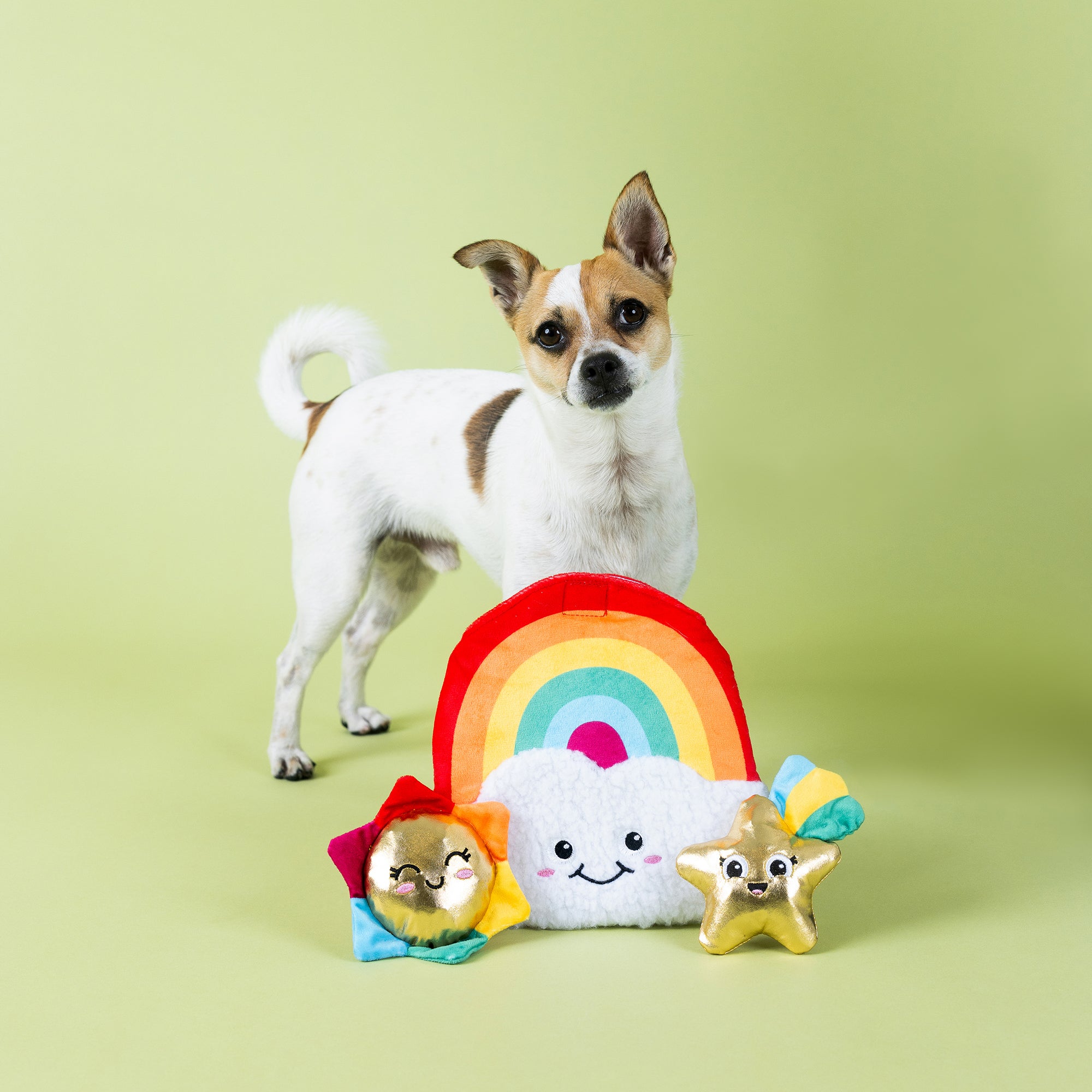Look On The Bright Side Burrow Plush Dog Toy