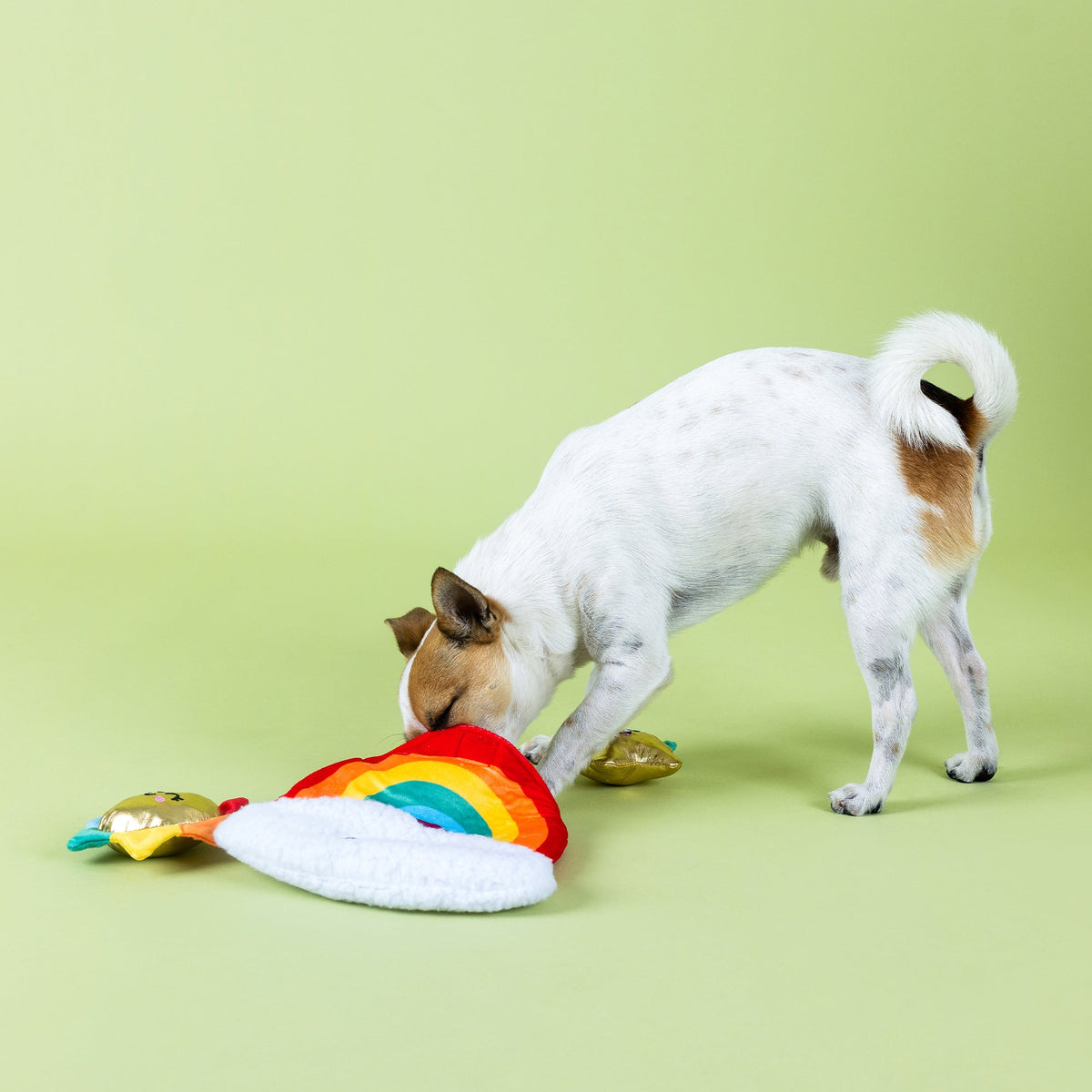 Look On The Bright Side Burrow Plush Dog Toy