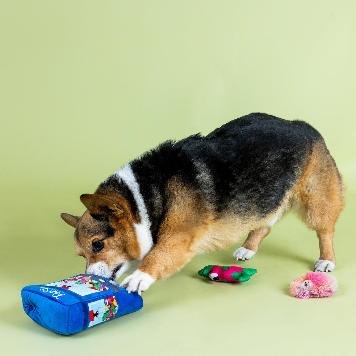 Ready, Set, Claw Burrow Plush Dog Toy