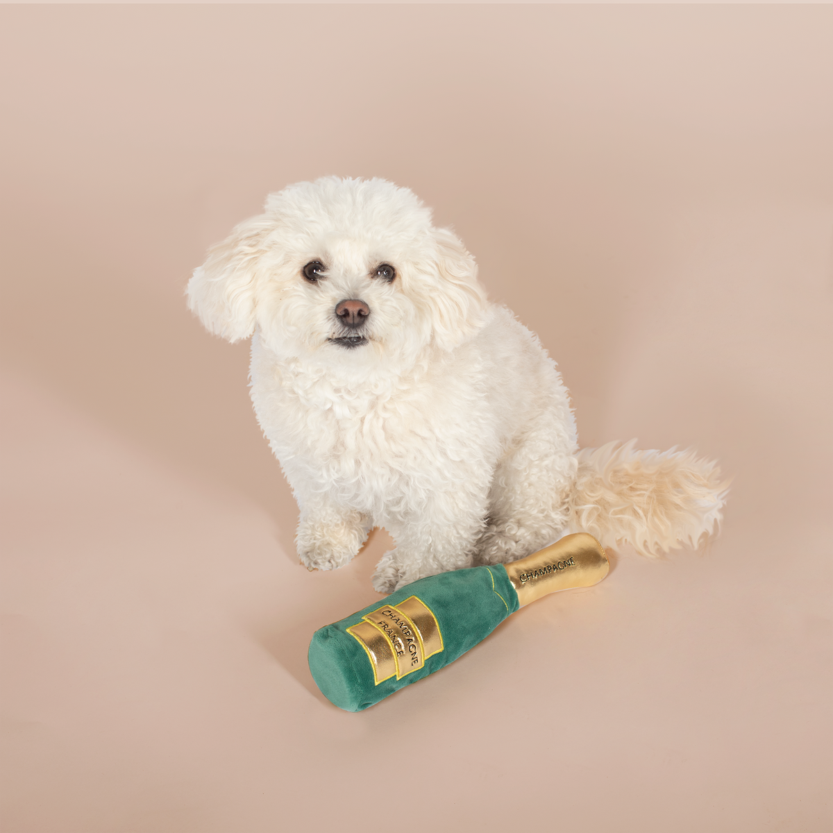 Feelin' Bubbly Plush Dog Toy