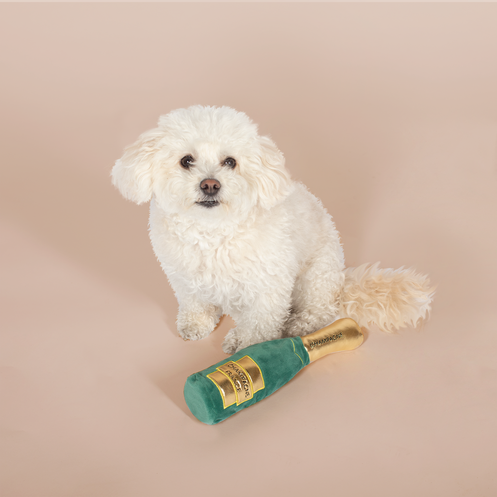 Feelin' Bubbly Dog Toy
