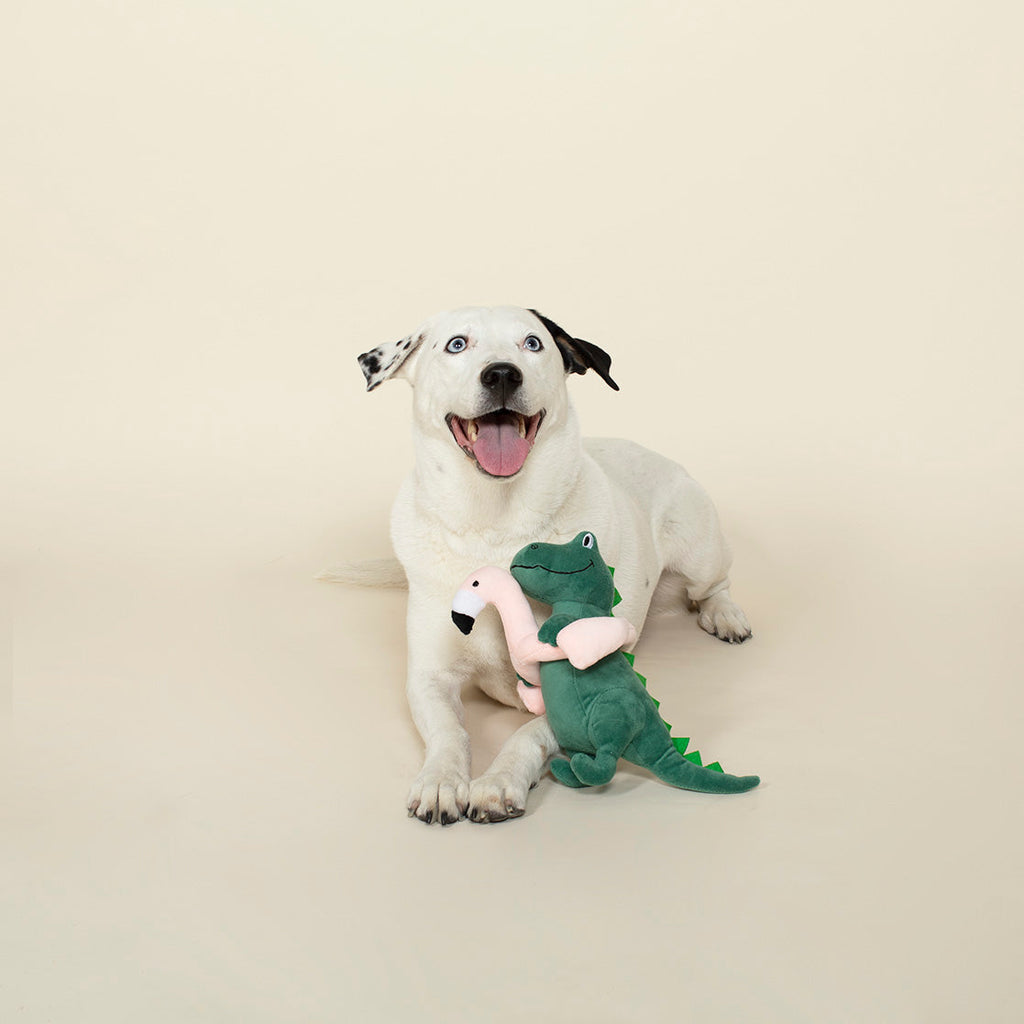 Pool Time Rex Dog Toy