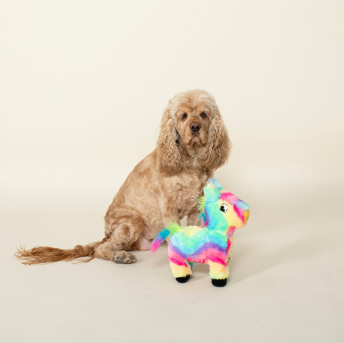 Pinata Party Girl Dog Toy