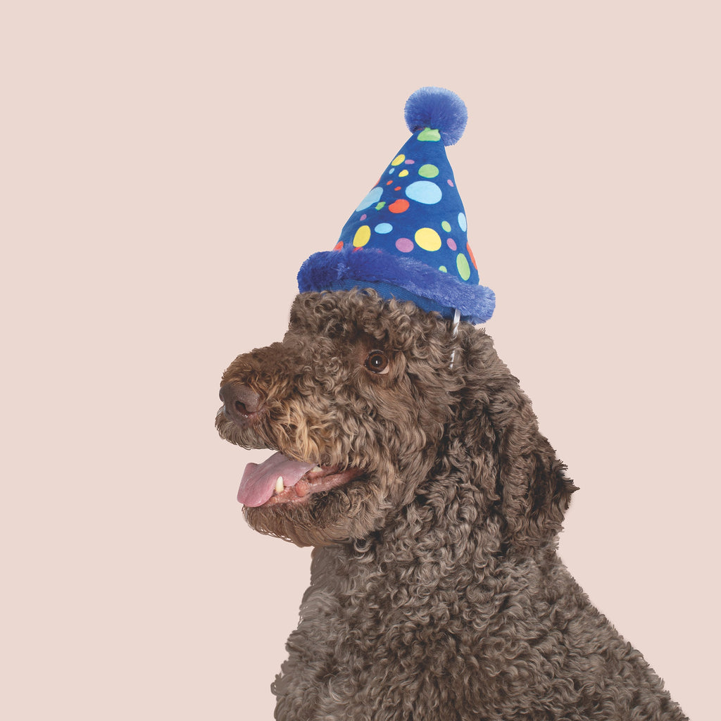 Large Party Hat Dog Toy