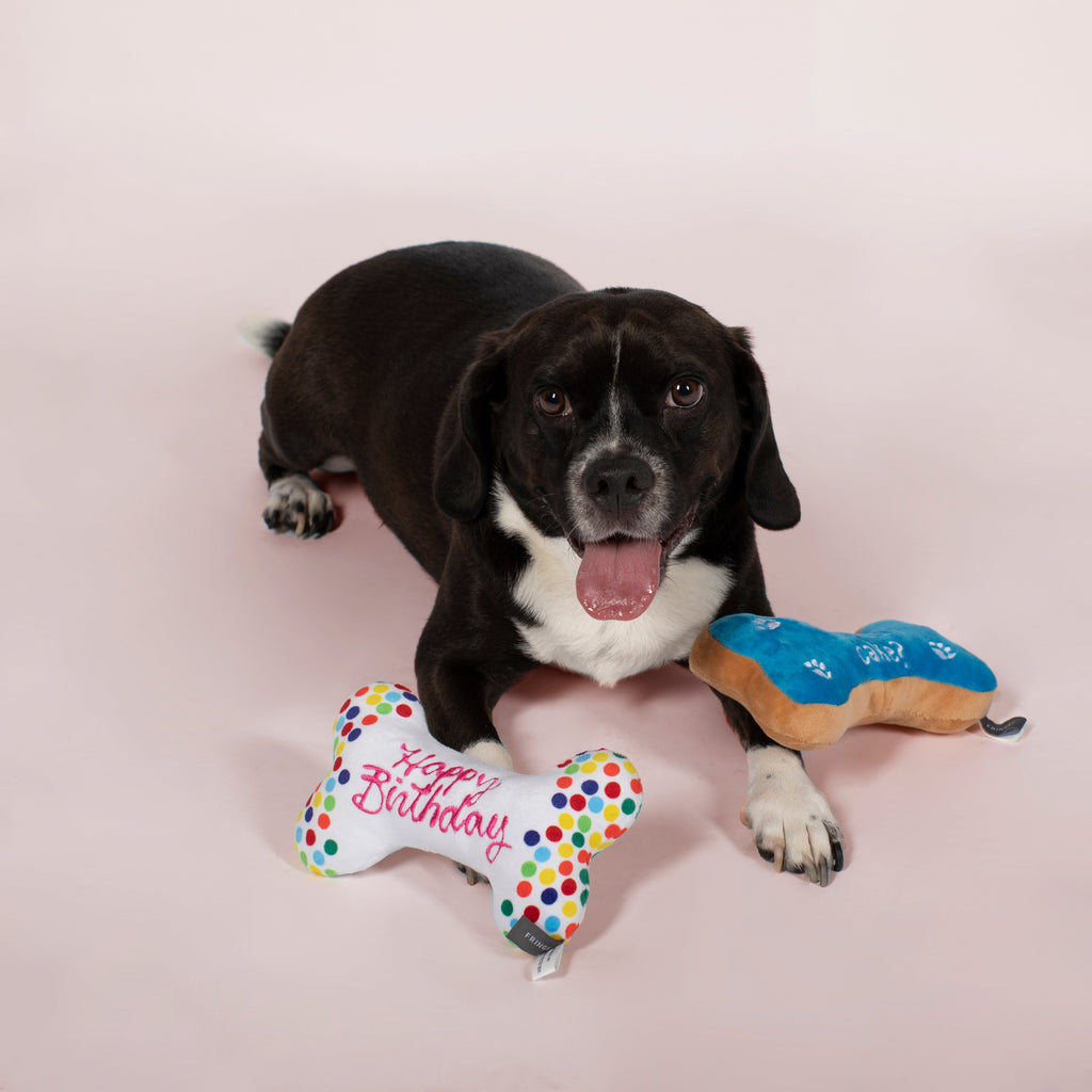 Bone A-Pet-Treat Dog Toys