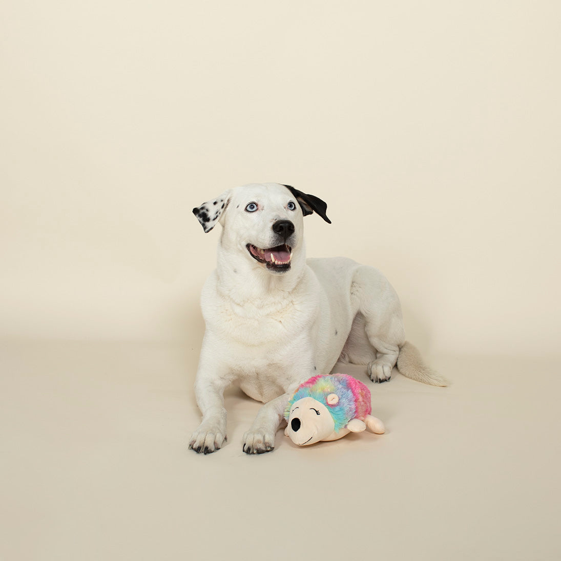 Tina The Hedgehog Plush Dog Toy