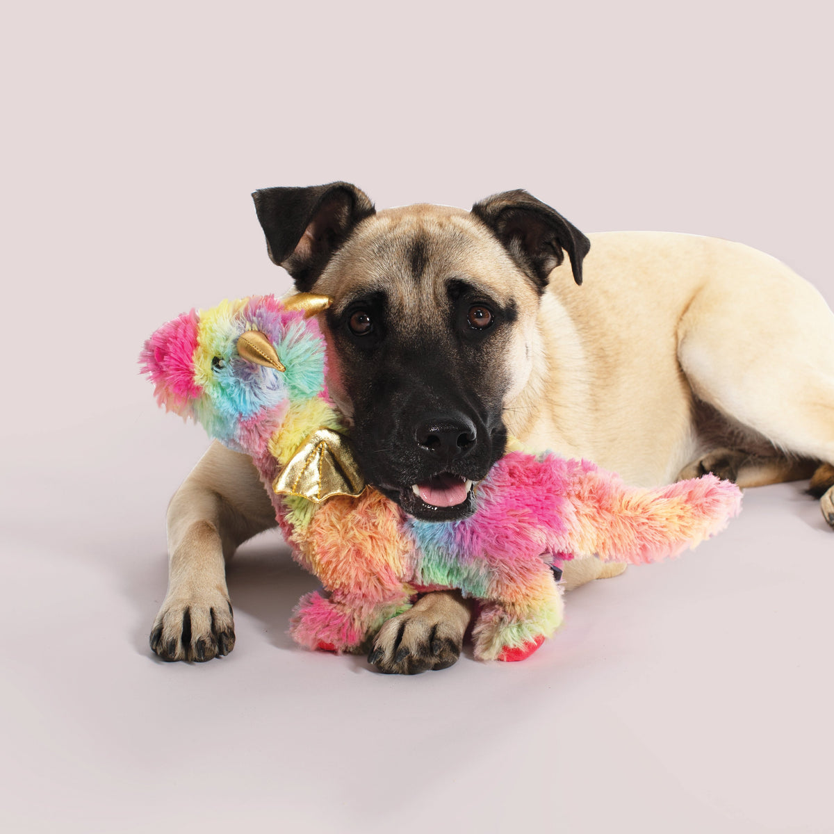Ember The Rainbow Dragon Plush Dog Toy