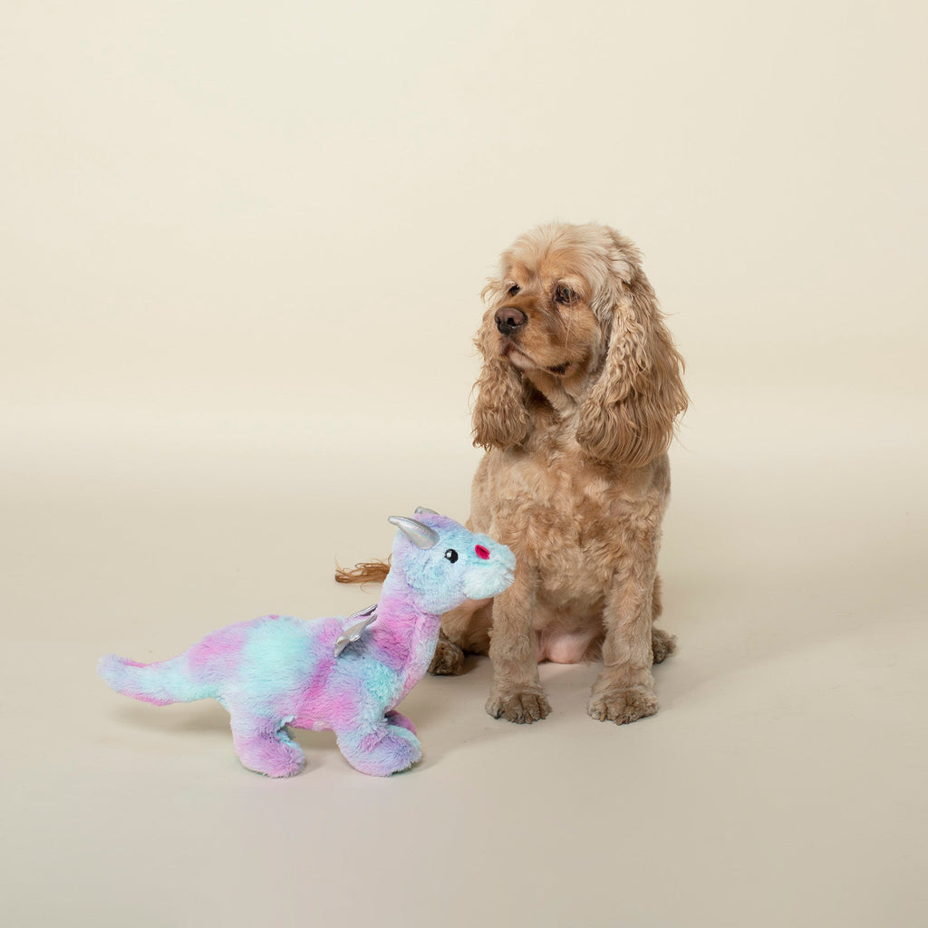 Magenta Dragon Dog Toy