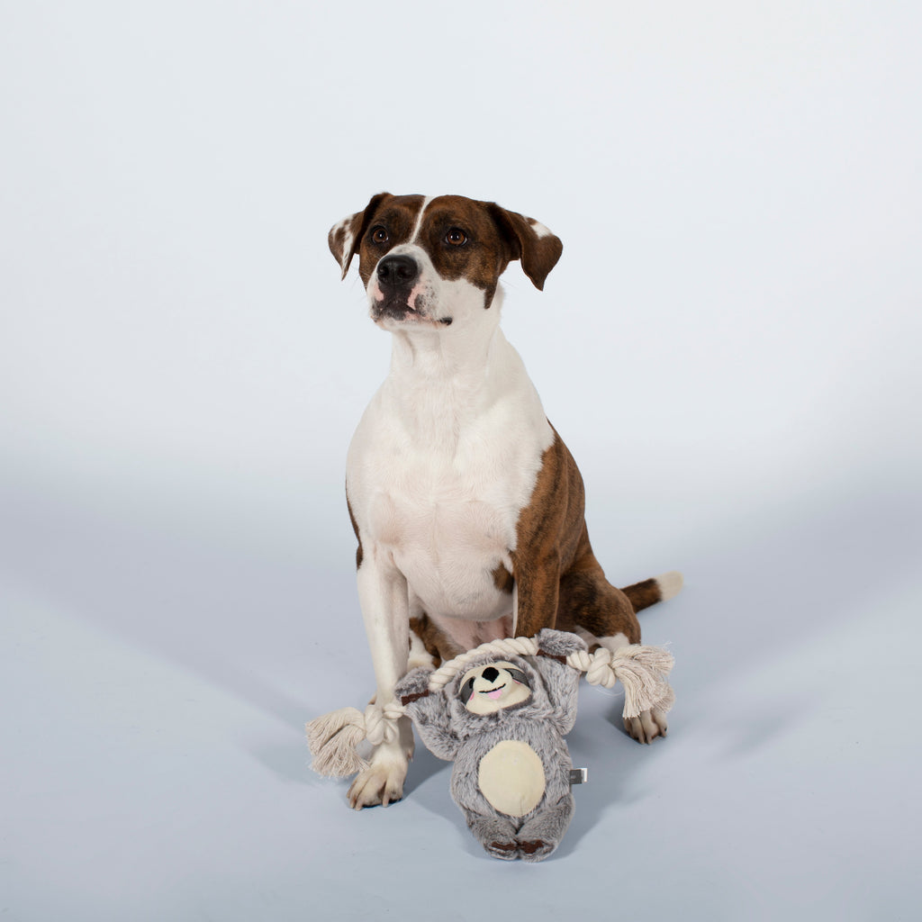Flor De Bloom Rope Dog Toy