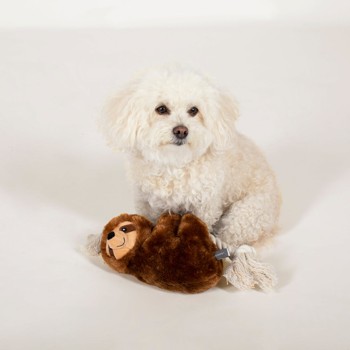 Sluggish Stanley Plush Dog Toy With Rope