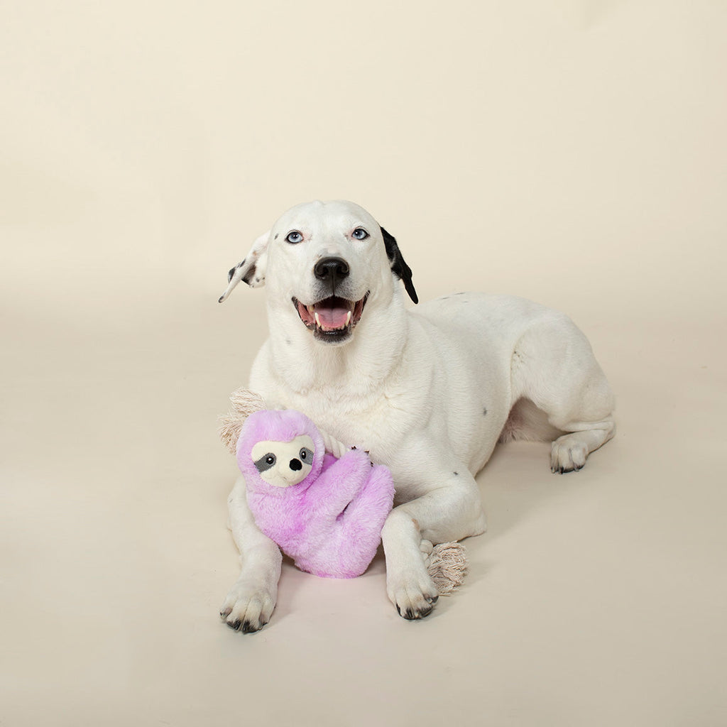 Glowing Glenda Rope Dog Toy