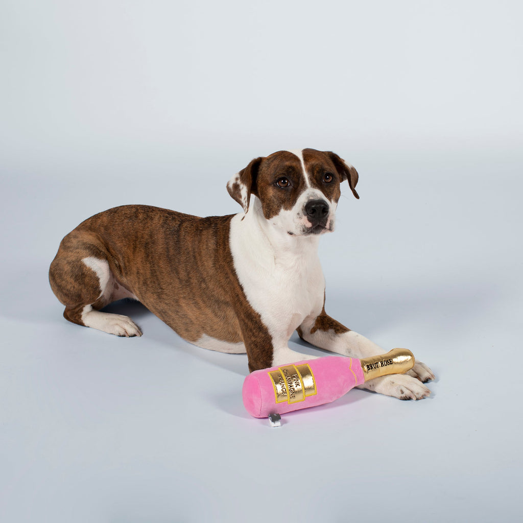 Mutt Rose Champagne Dog Toy