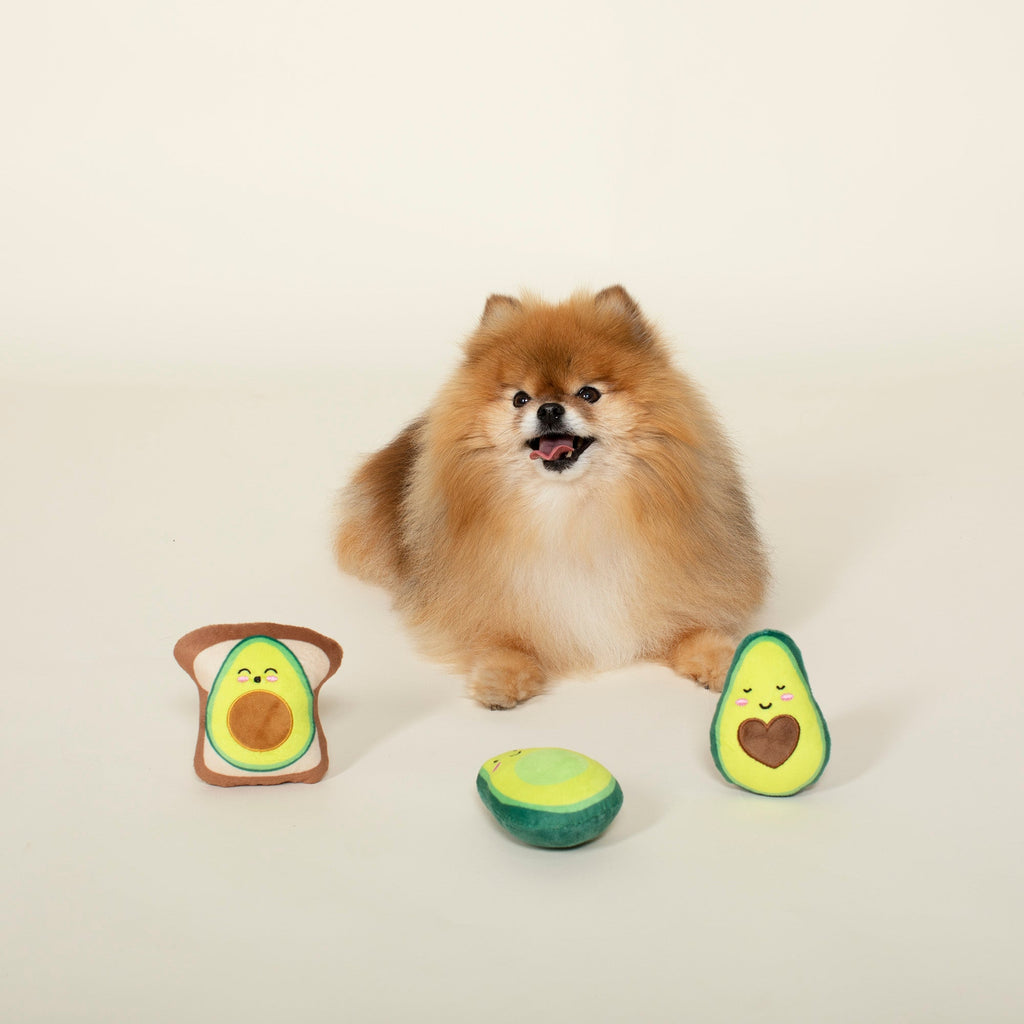 Let's Get Avo Control! Mini Toys