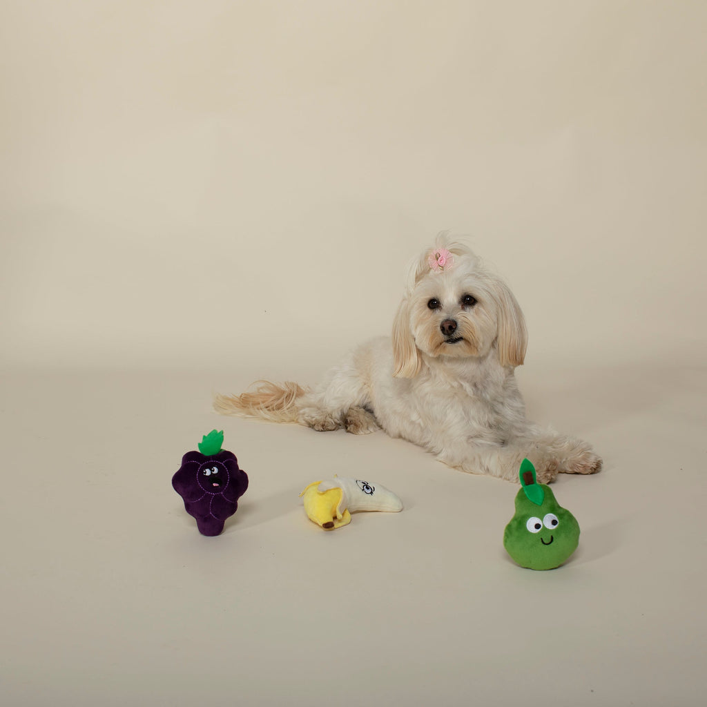 Main Squeeze Mini Toys
