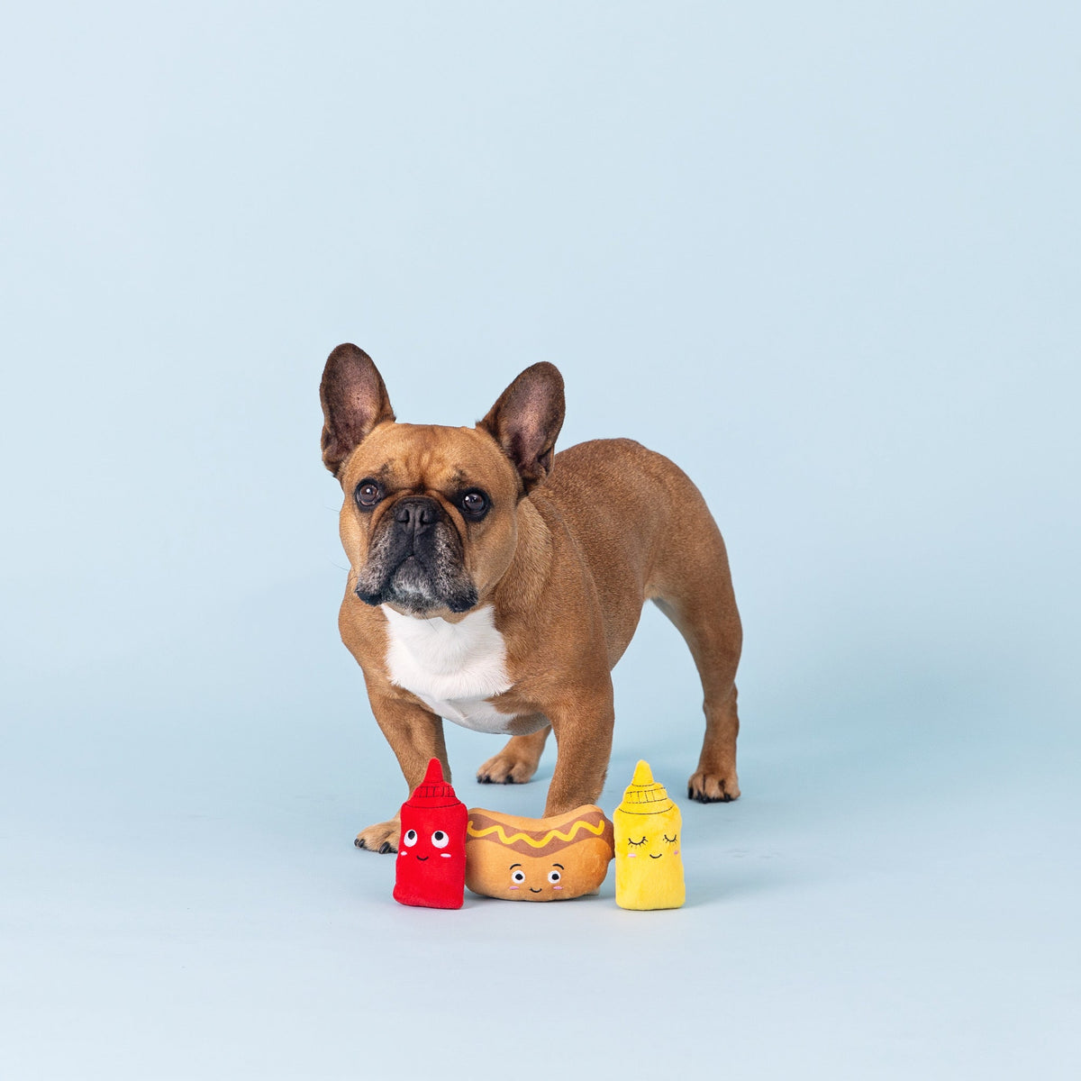 Wagsdale Let's Be Frank 3pc Mini Plush Dog Toy Set