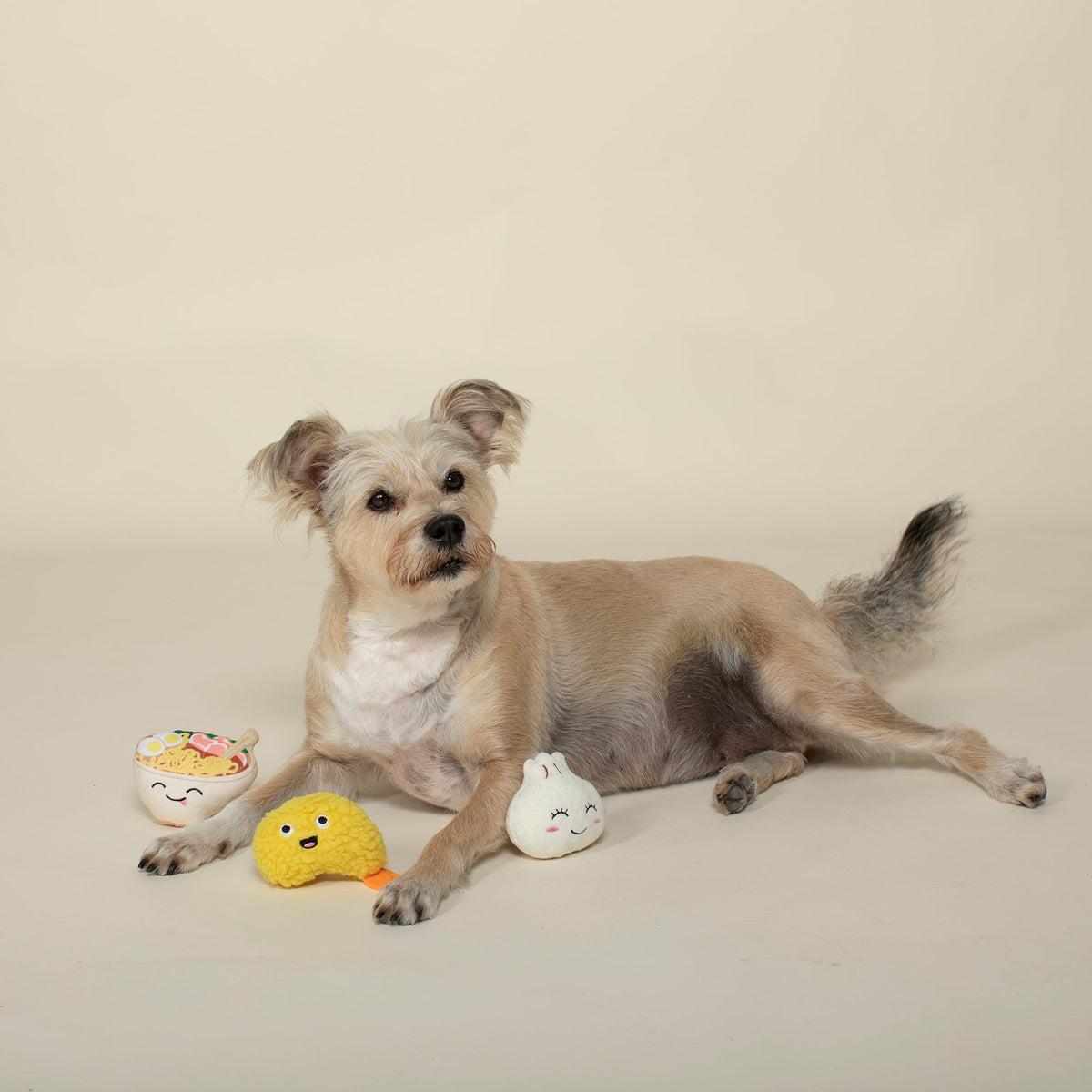 Soy Into You 3pc Mini Plush Dog Toy Set