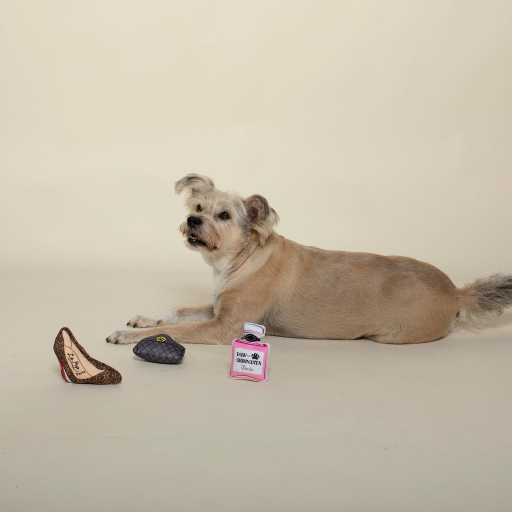 Paw-Shionista Mini Toys