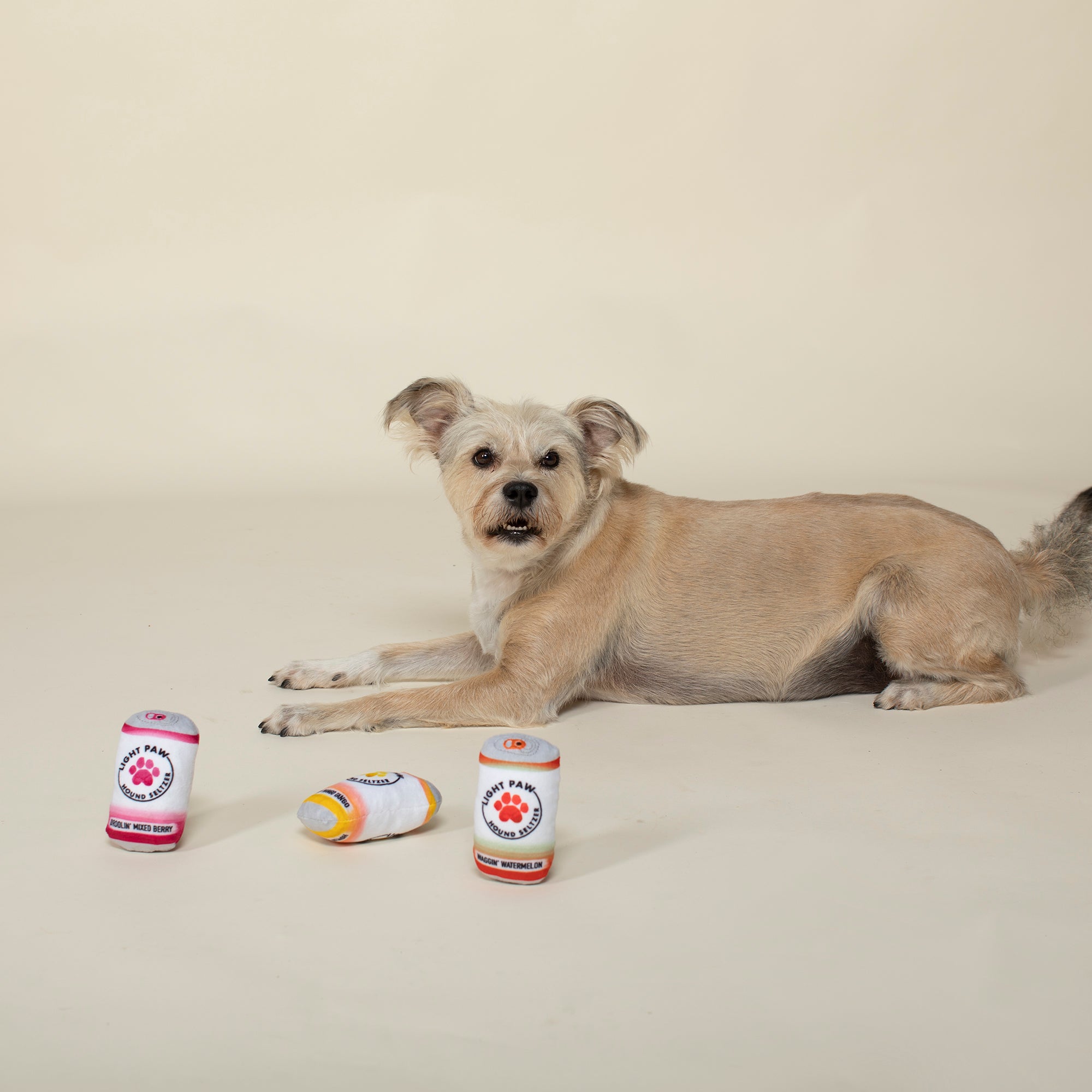 Light Paw Cans 3pc Mini Plush Dog Toy Set