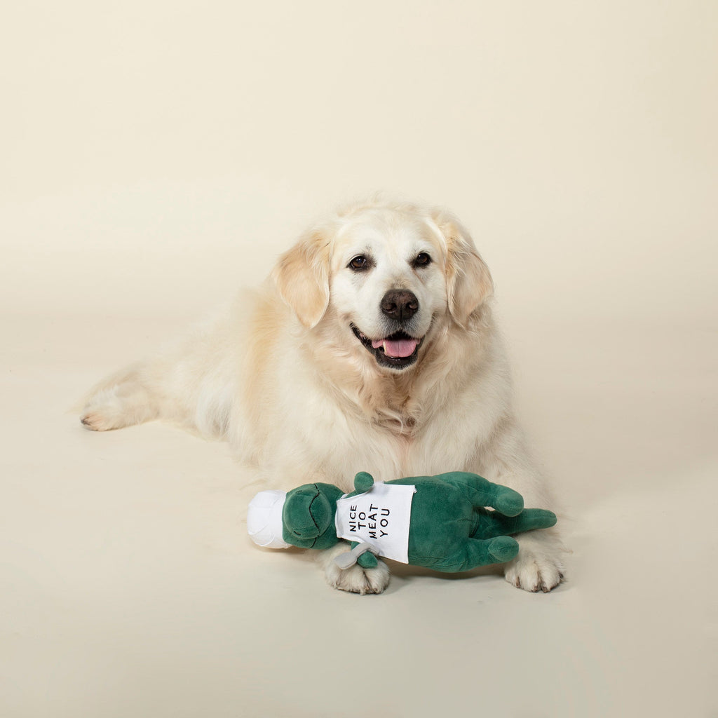 King Of The Grill Dog Toy