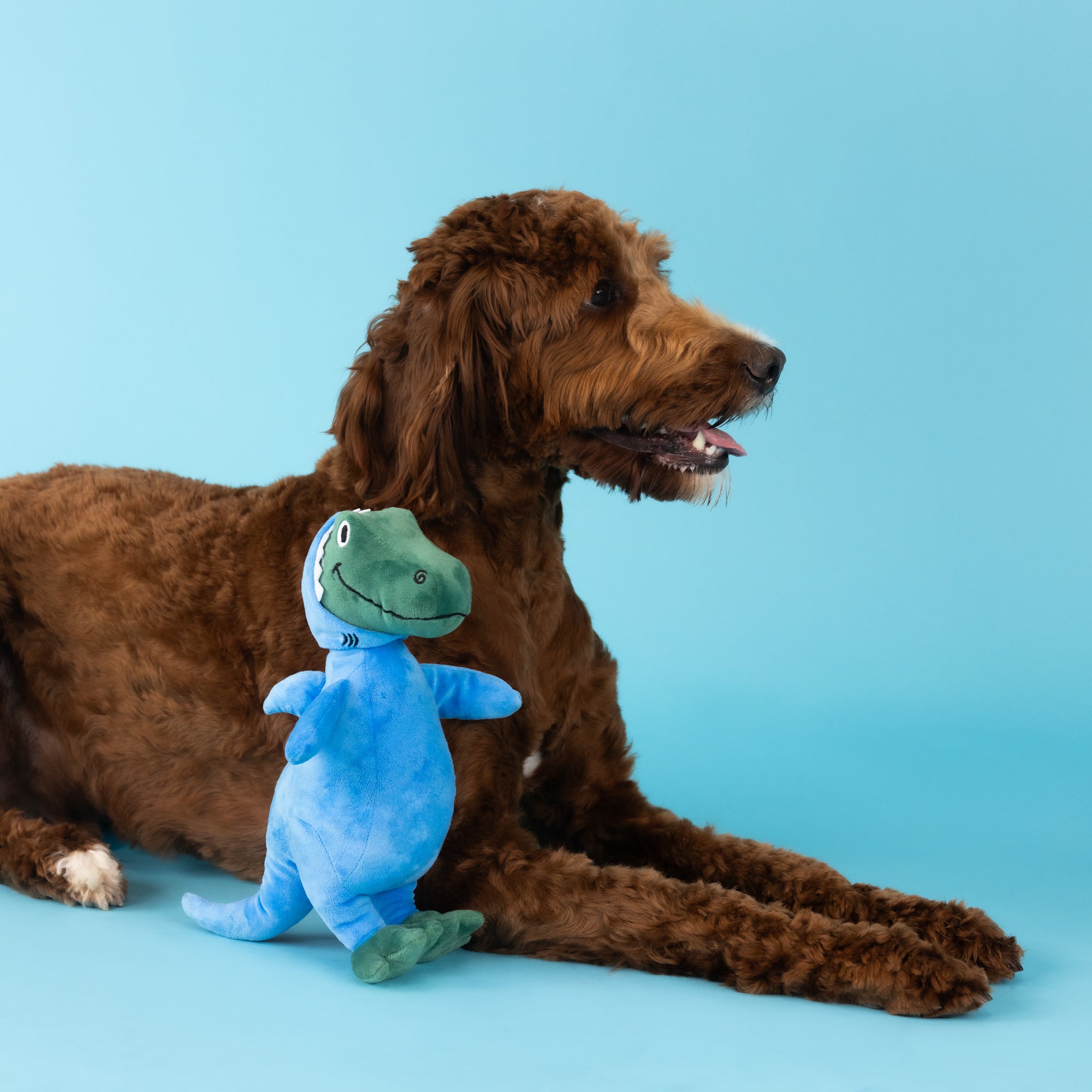 Feelin' Jawsome! Plush Dog Toy
