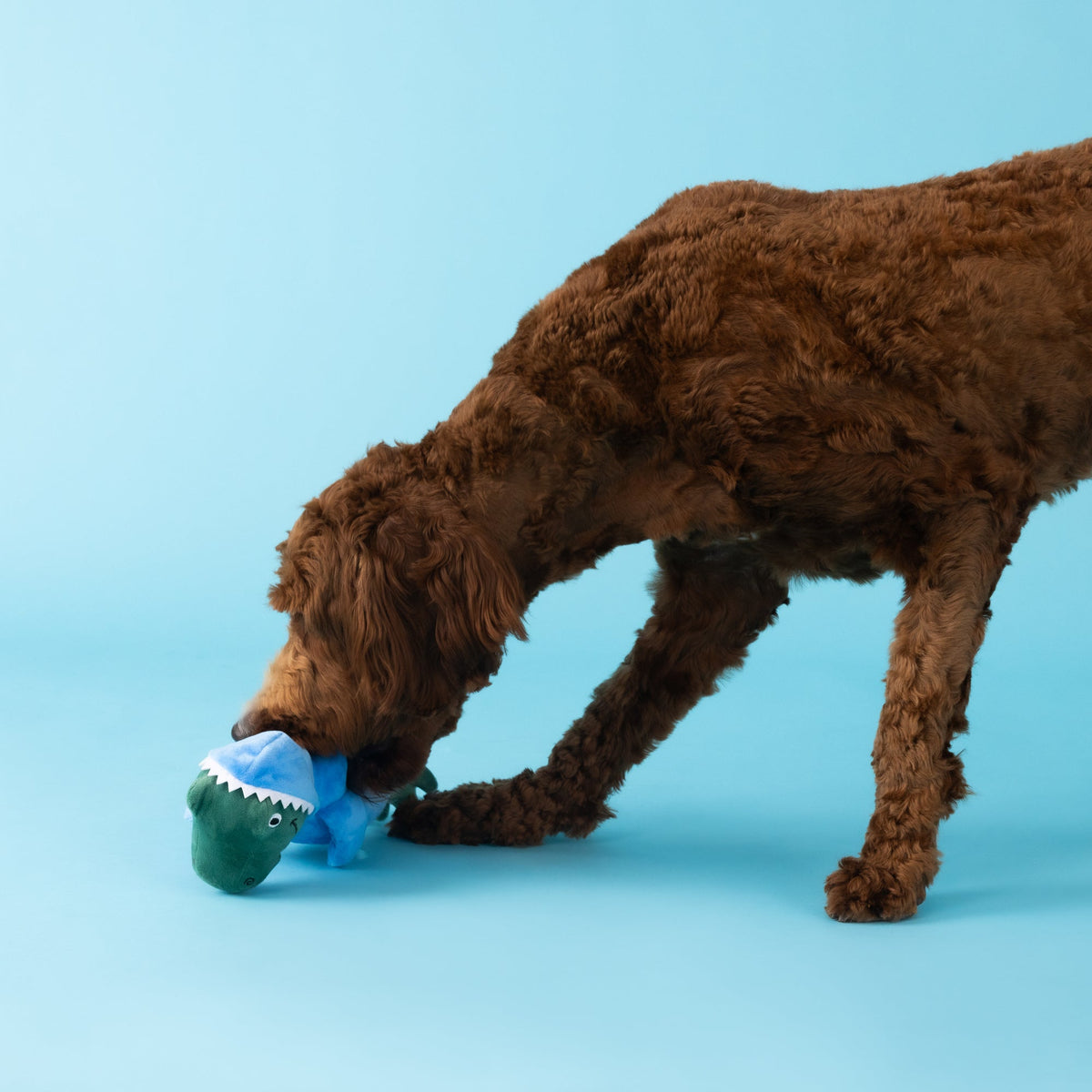 Feelin' Jawsome! Plush Dog Toy