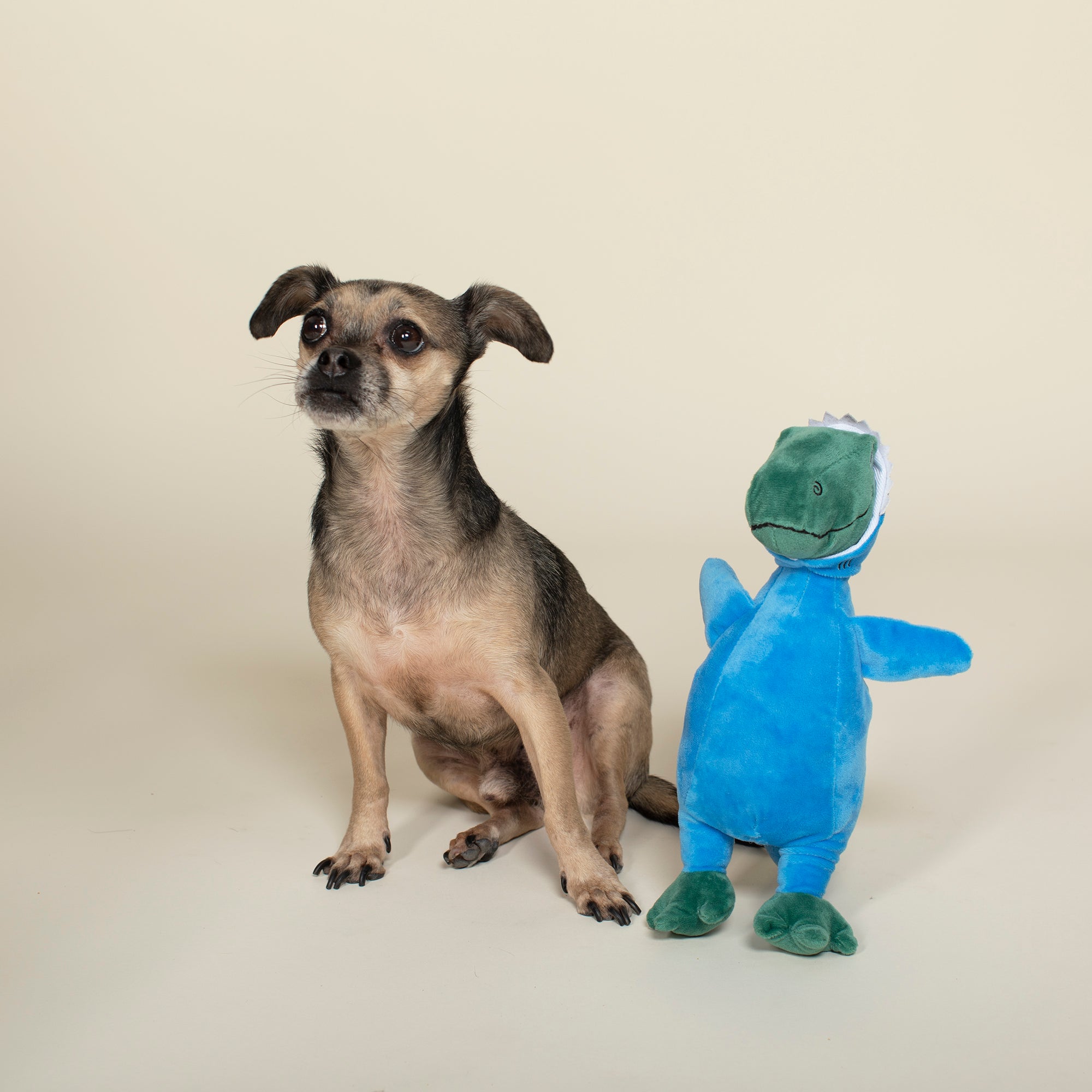 Feelin' Jawsome! Plush Dog Toy