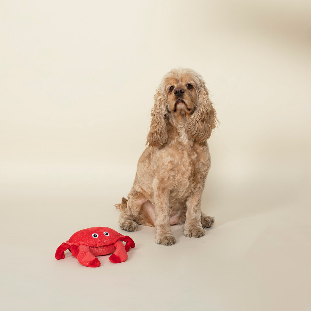 Crabby Cakes Plush Dog Toy