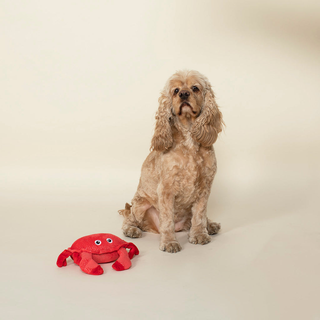 Crabby Cakes Dog Toy
