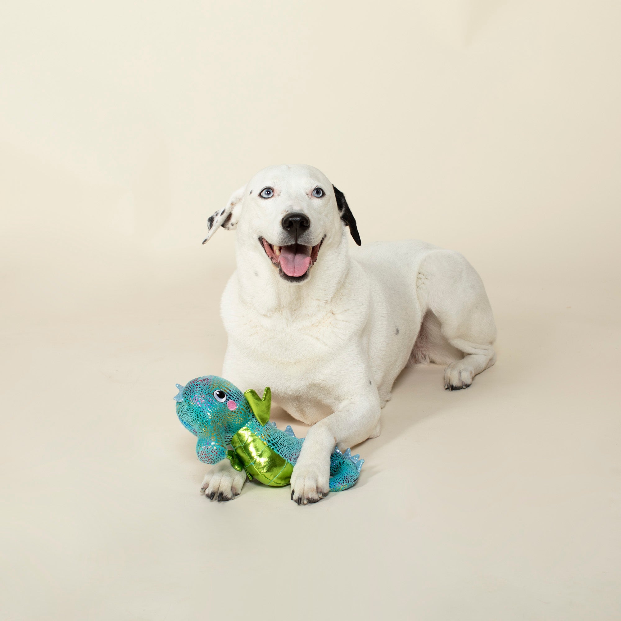 Shelly the Seahorse Plush Dog Toy