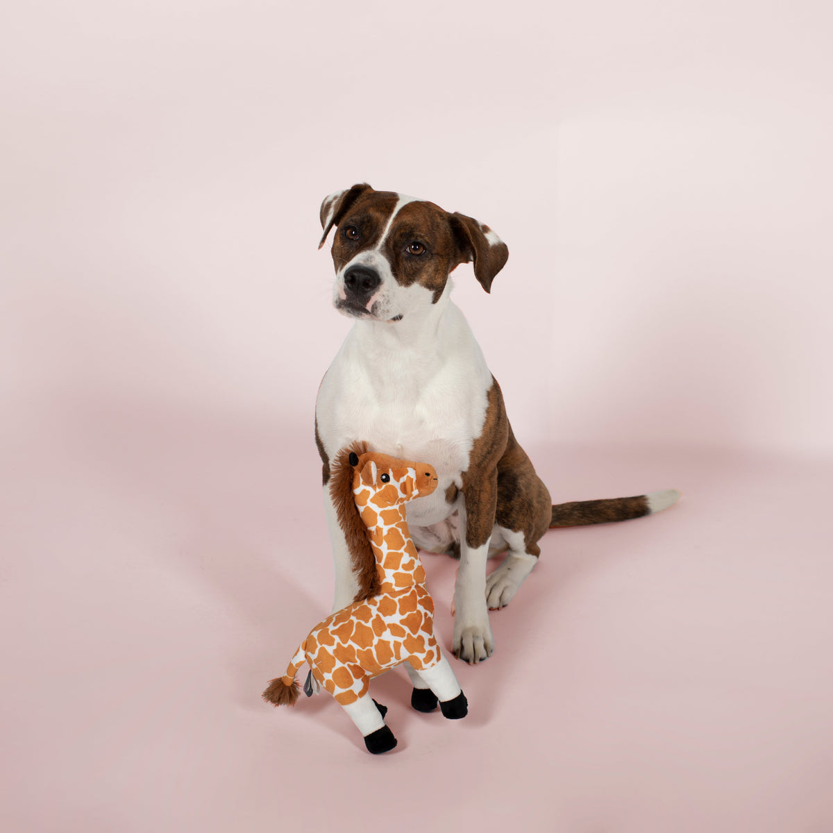 Longneck Lawrence Plush Dog Toy