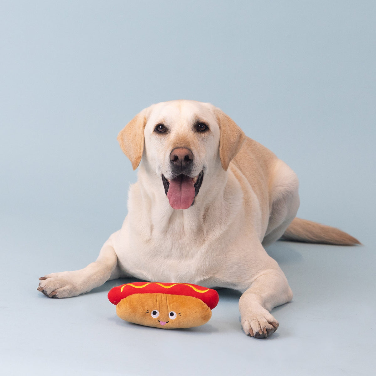 Wagsdale Sun's Out, Buns Out Plush Dog Toy