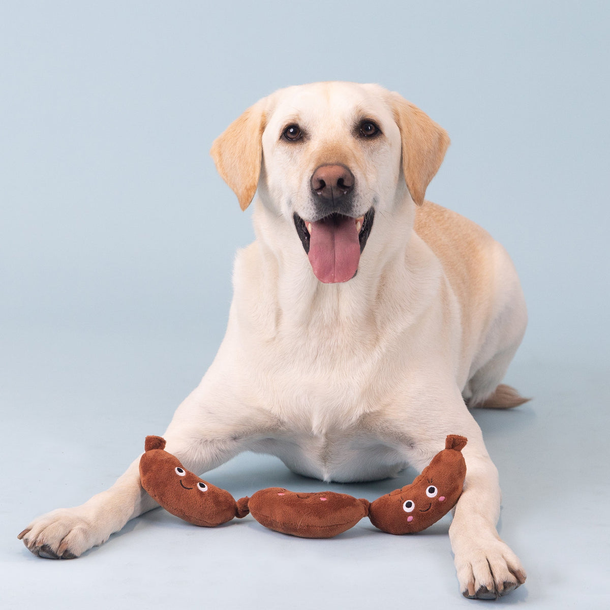 Wagsdale Making Ends Meat Plush Dog Toy